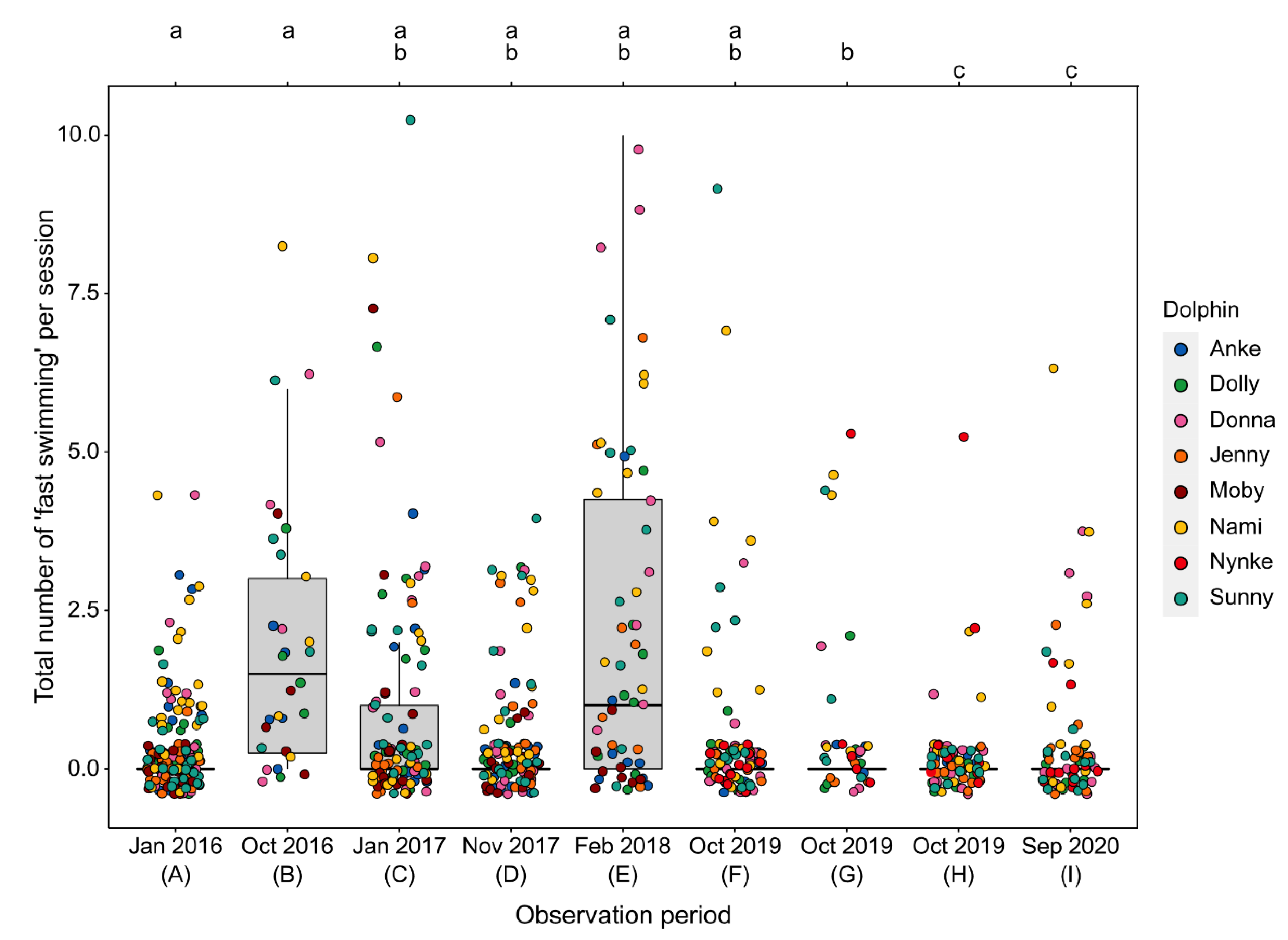 Animals Free Full Text Activity Budget Comparisons Using Long Term Observations Of A Group Of Bottlenose Dolphins Tursiops Truncatus Under Human Care Implications For Animal Welfare Html