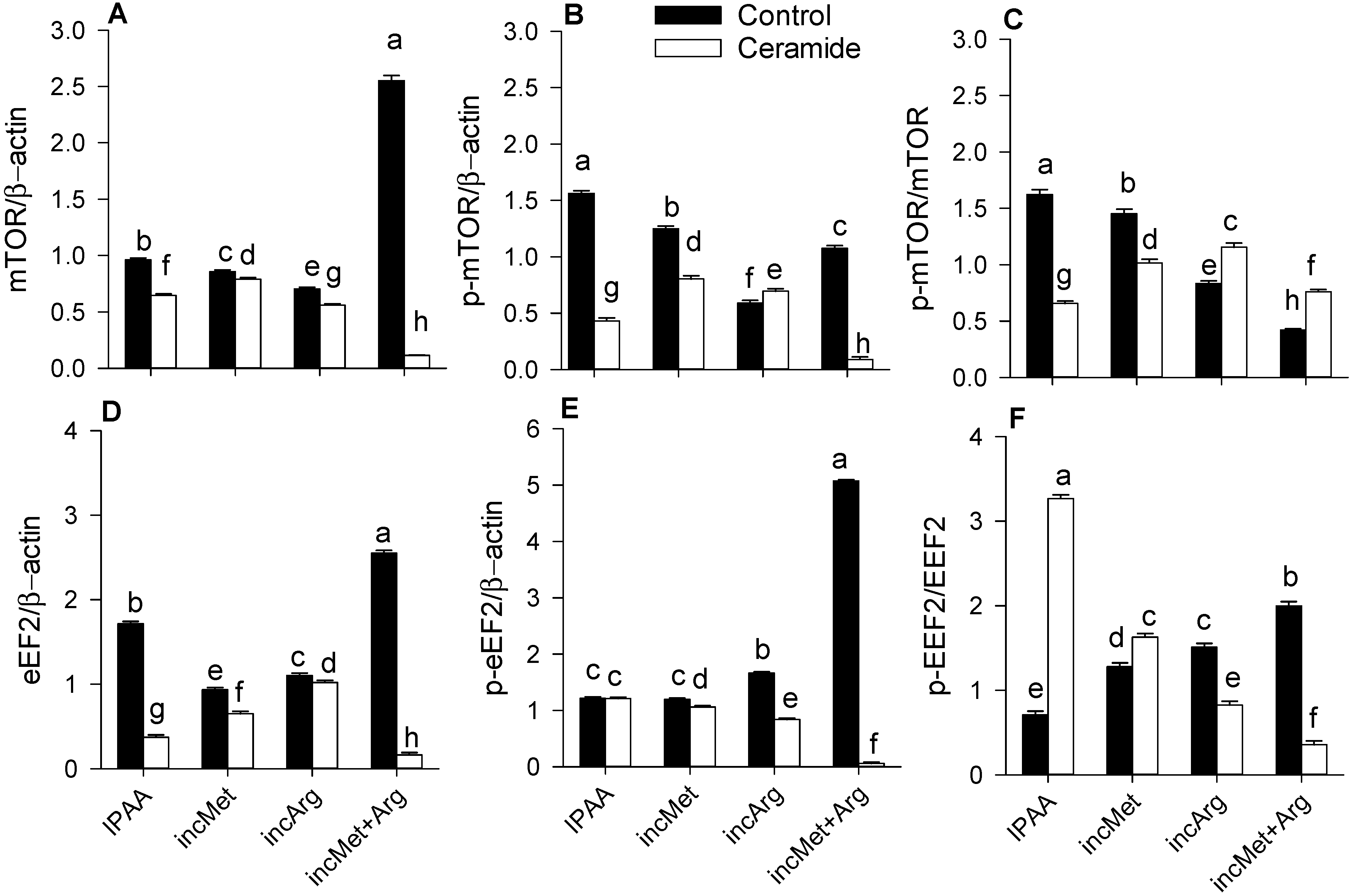 Animals 11 02114 g002 550