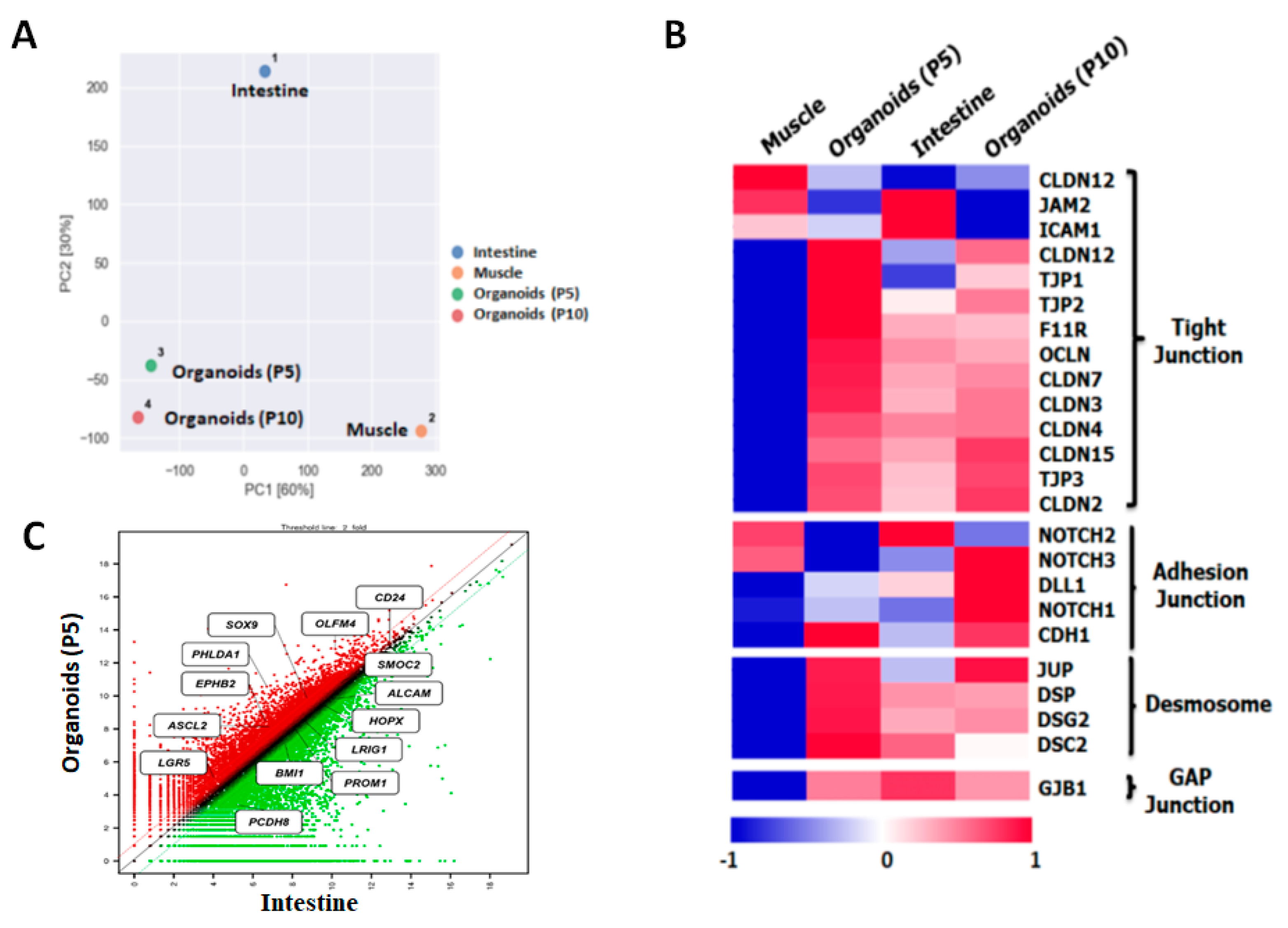Animals 11 02115 g004 550