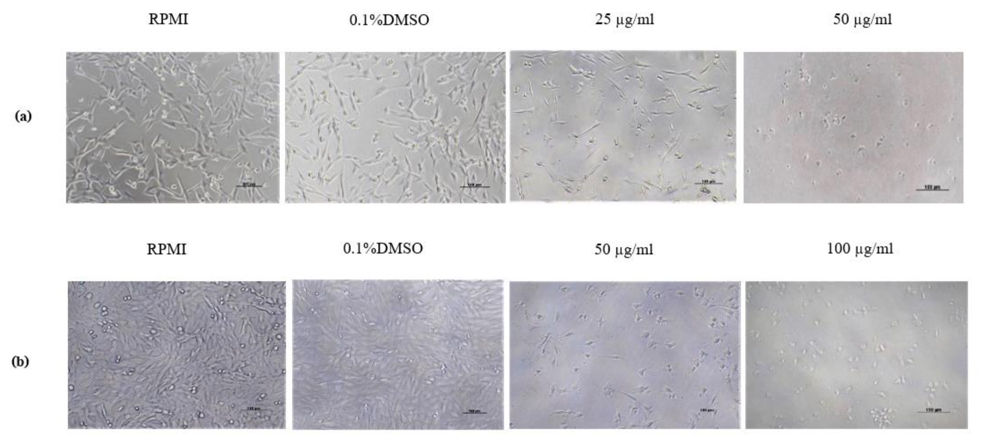 Animals 11 02119 g002 Animals 11 02119 g002