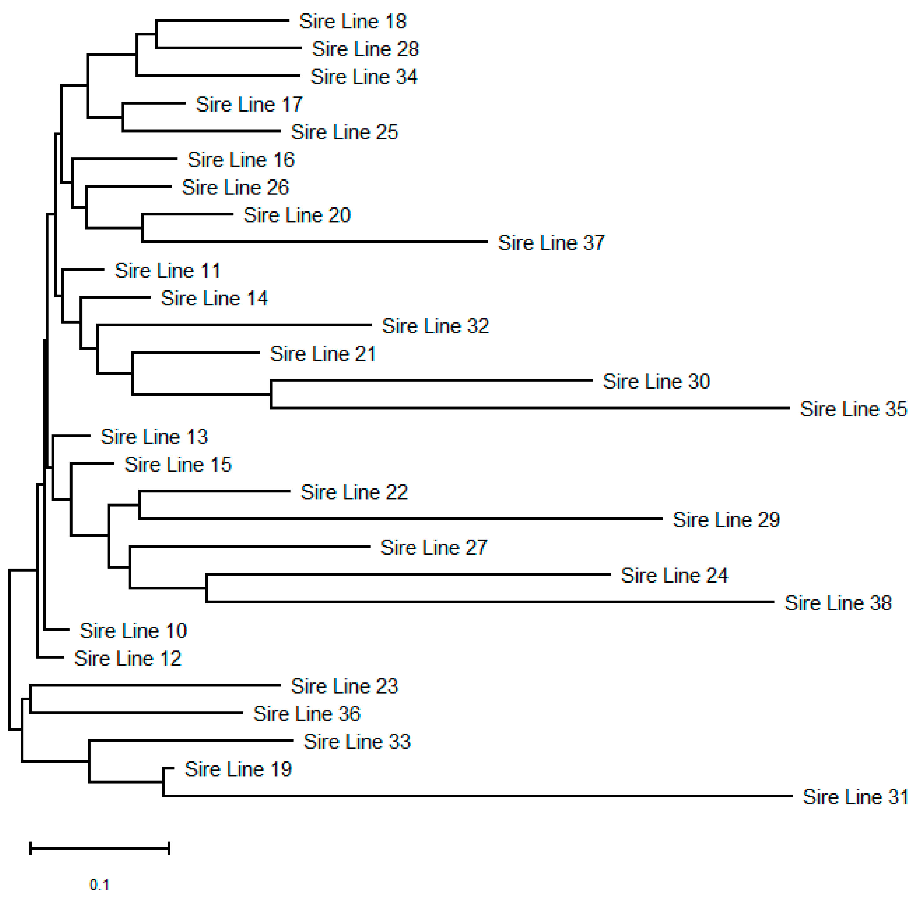 Animals 11 02130 g004