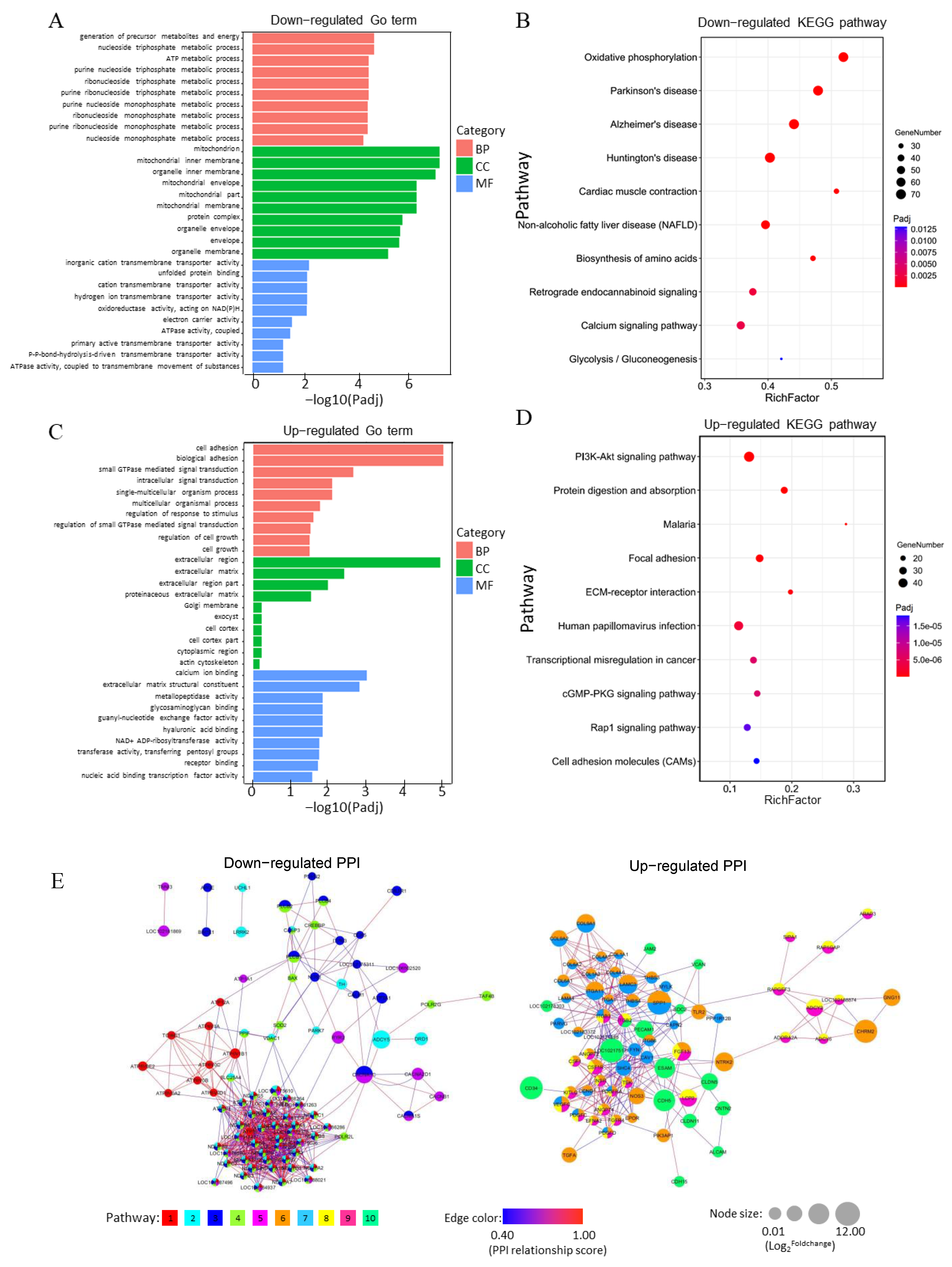 Animals 11 02132 g004 Animals 11 02132 g004