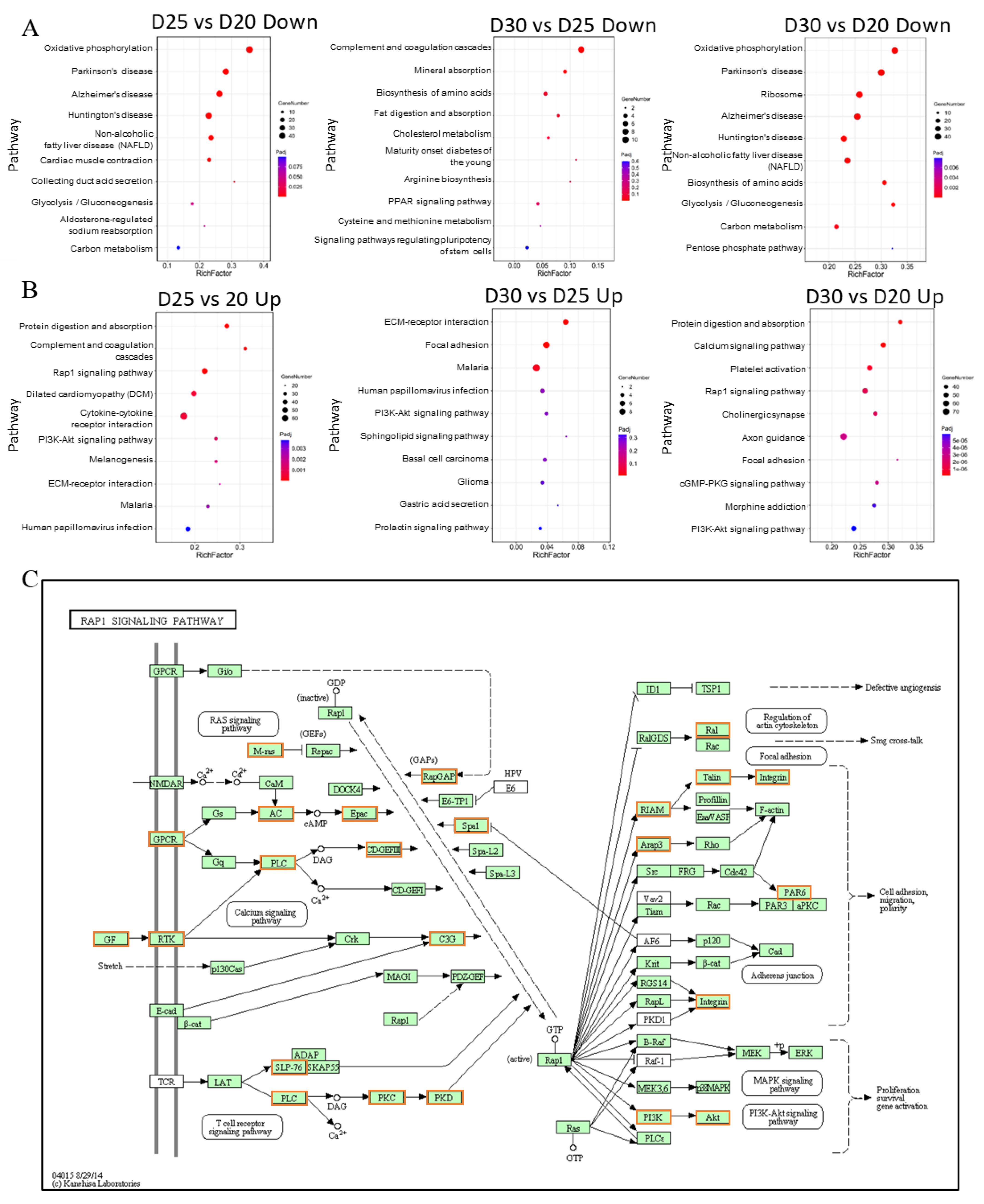 Animals 11 02132 g005 Animals 11 02132 g005