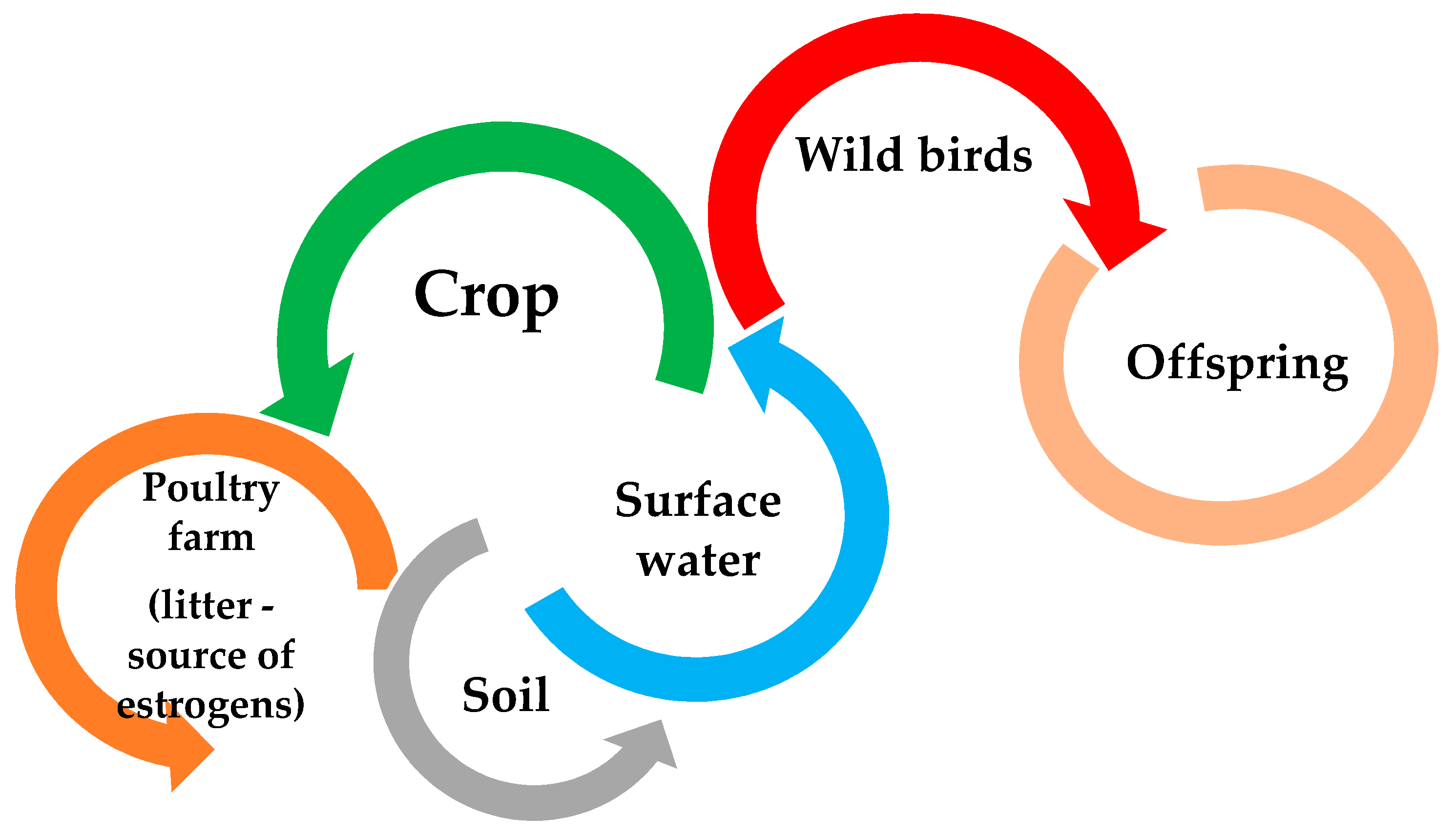 Animals 11 02152 g002 550