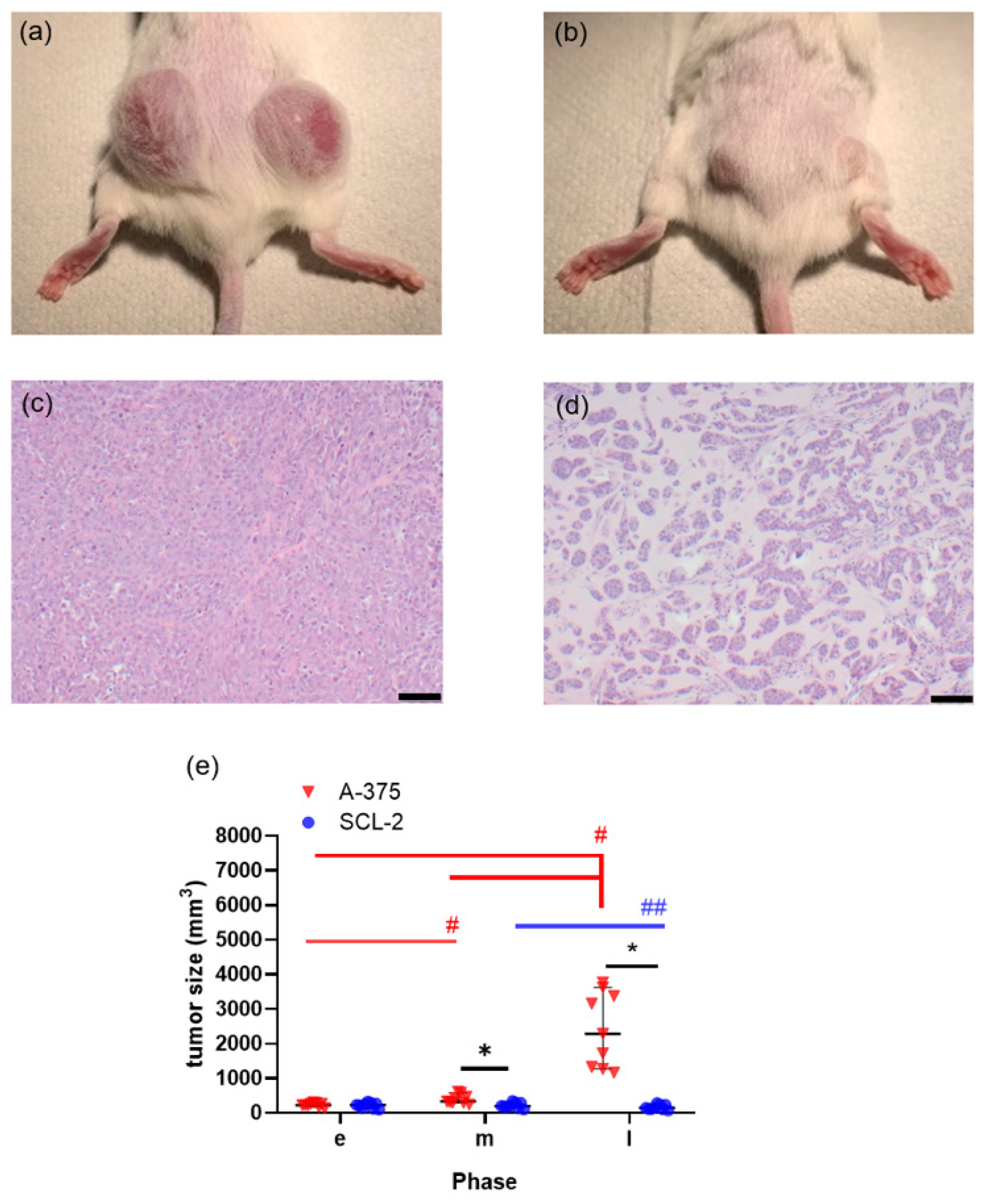 Animals 11 02155 g001