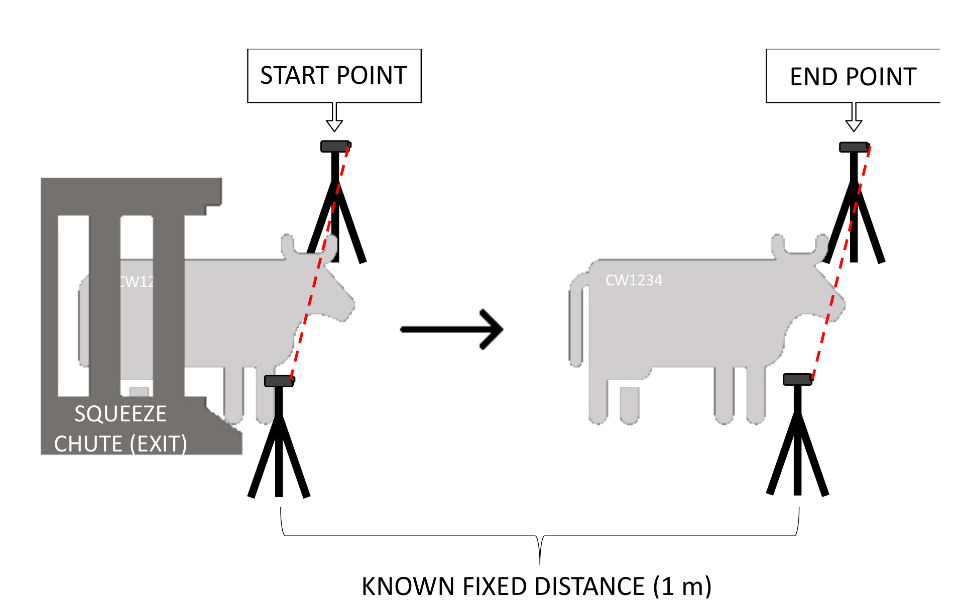 Animals 11 02159 g003 550