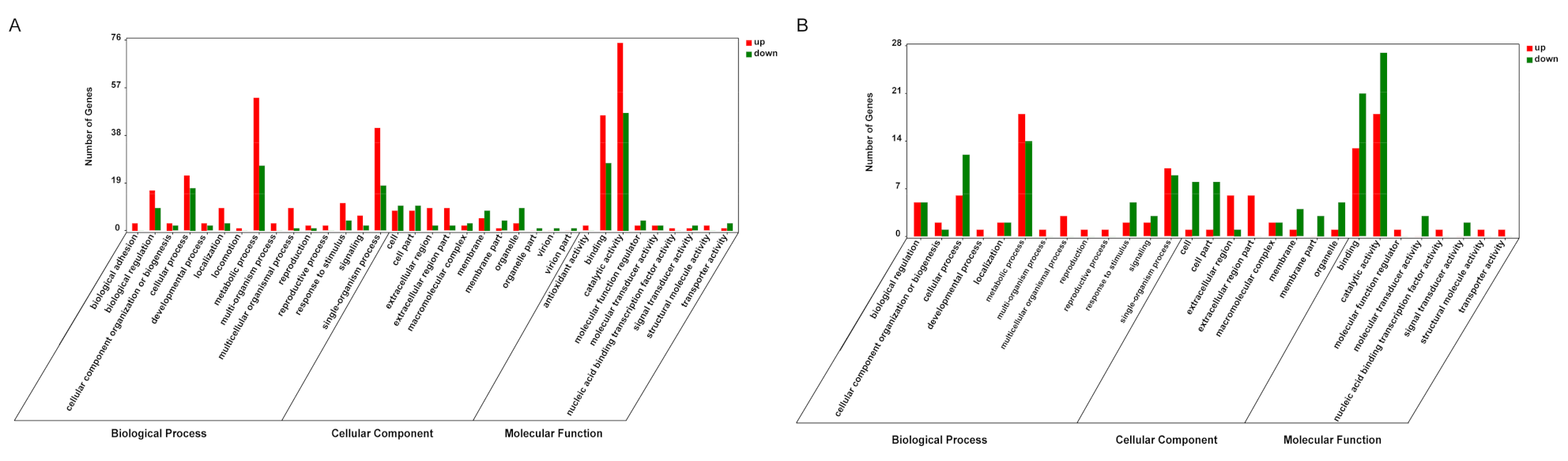 Animals 11 02160 g003