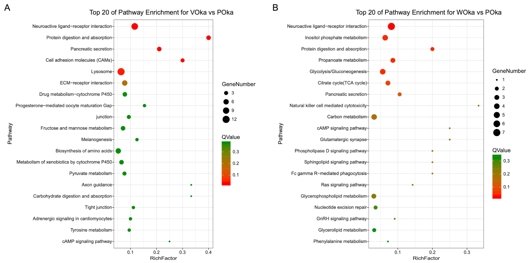 Animals 11 02160 g004