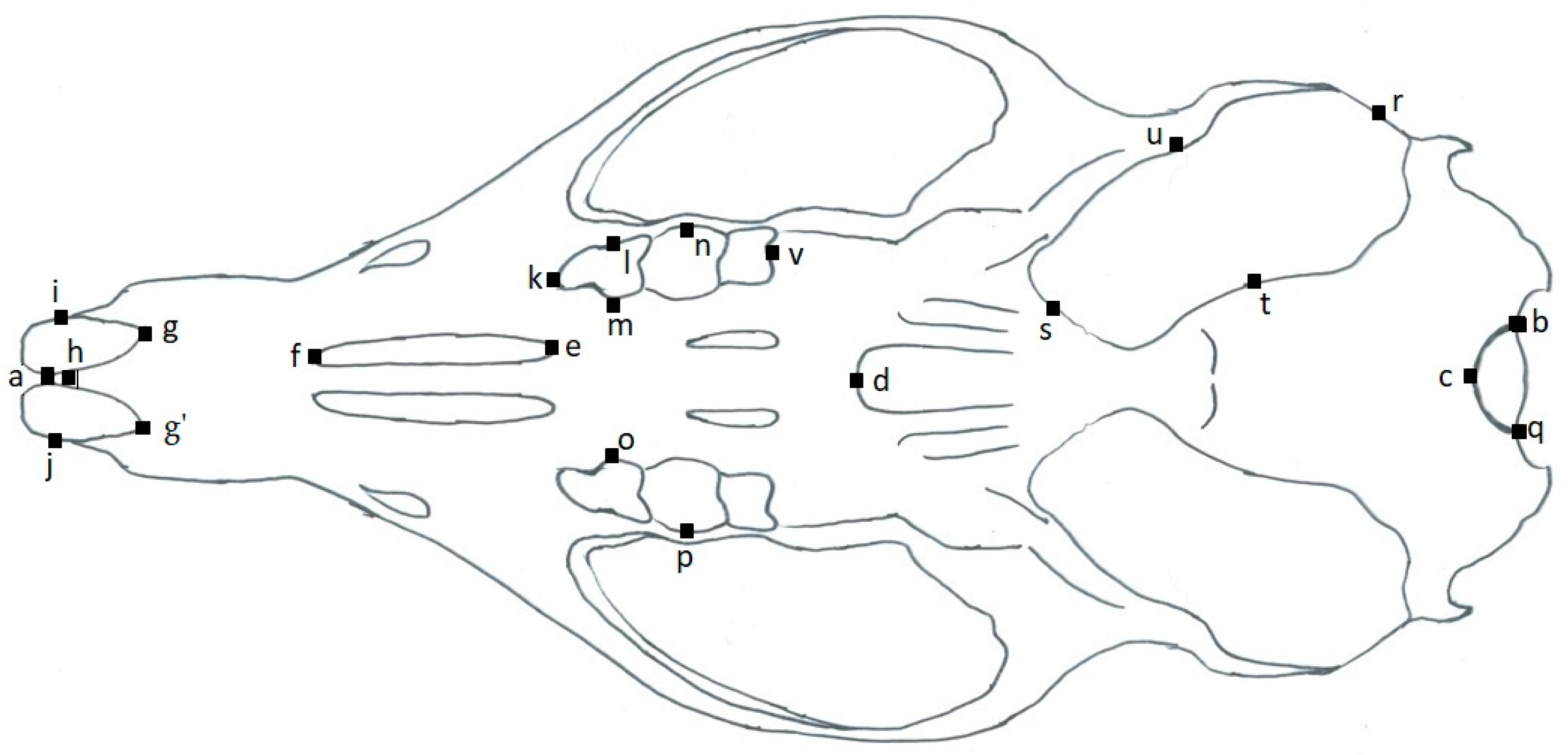 Animals 11 02162 g005 550