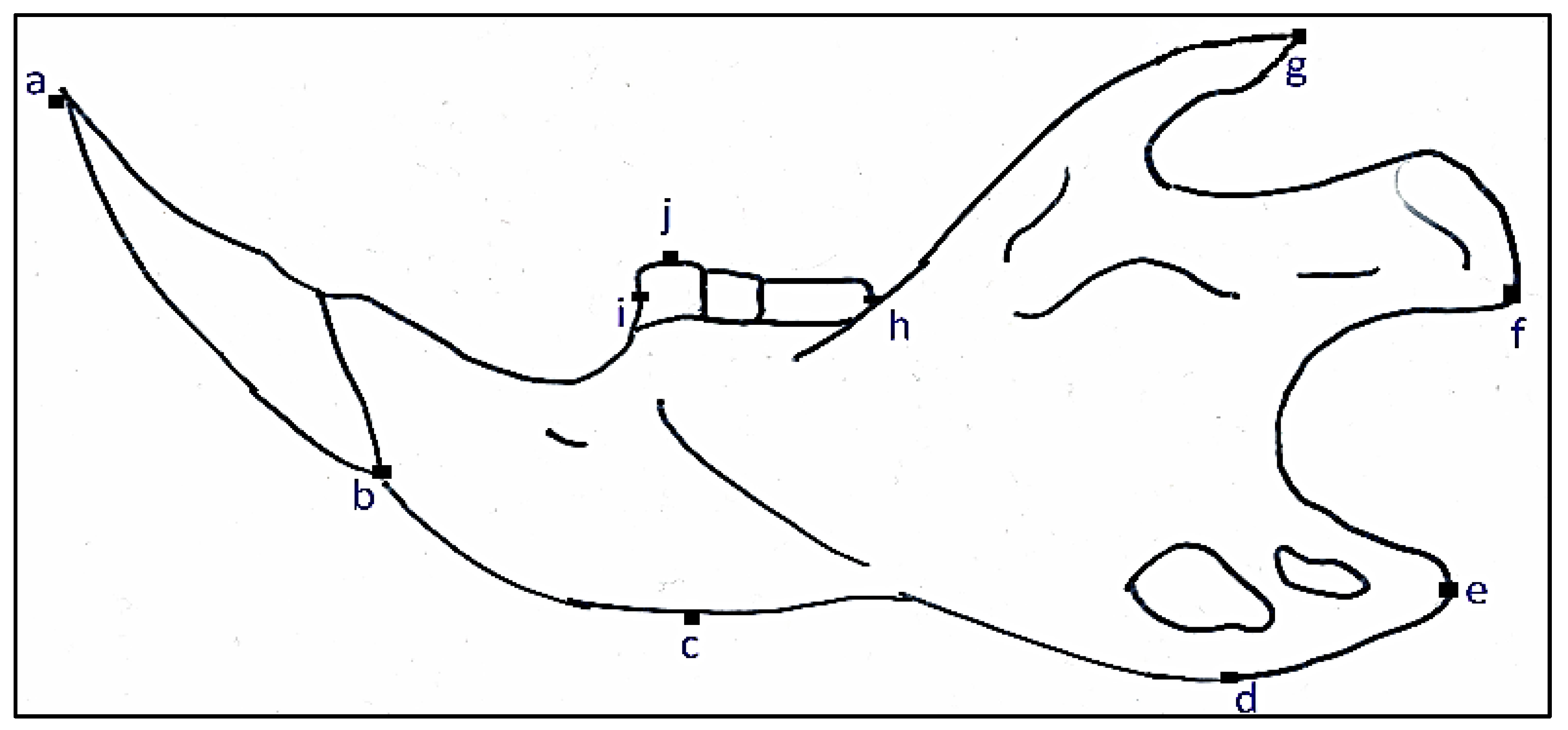 Animals 11 02162 g006 550