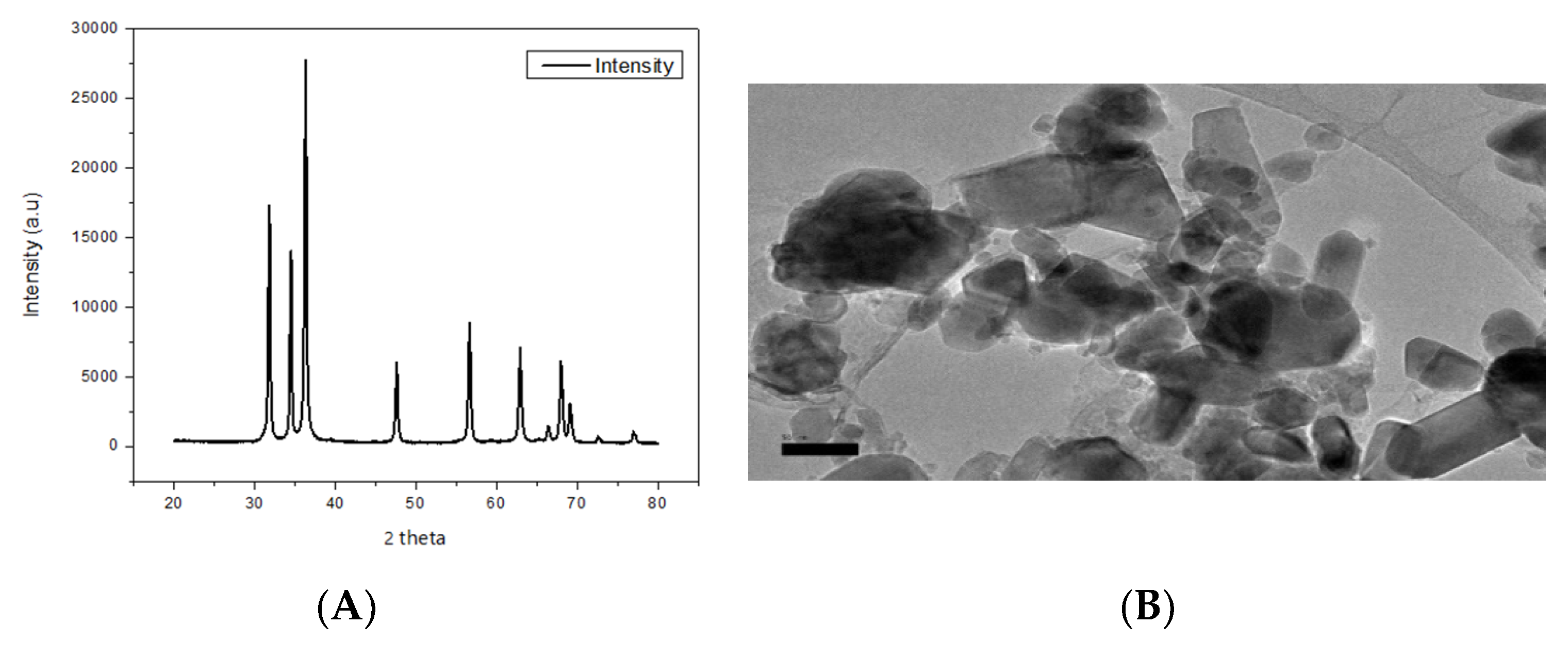 Animals 11 02170 g001 Animals 11 02170 g001