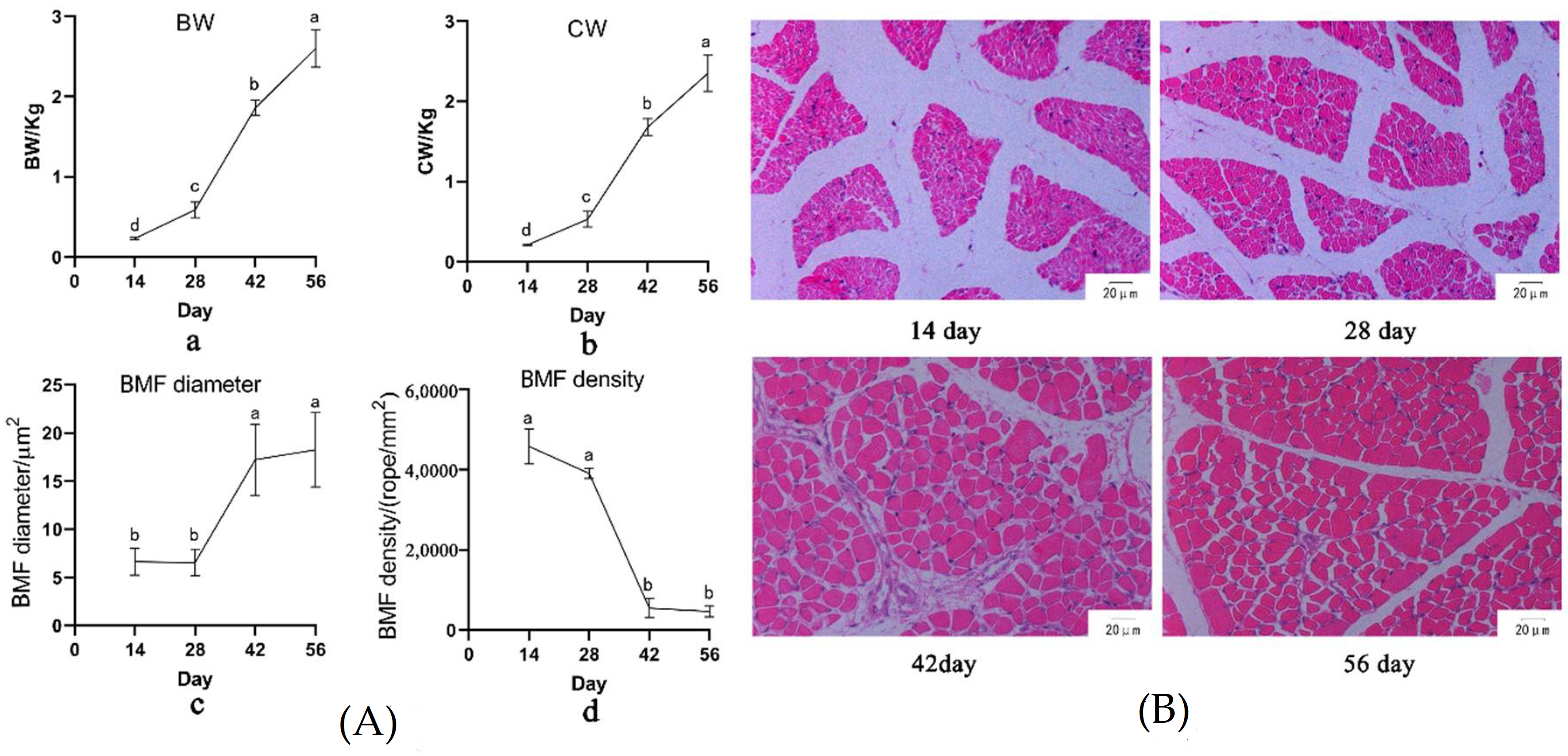 Animals 11 02180 g001