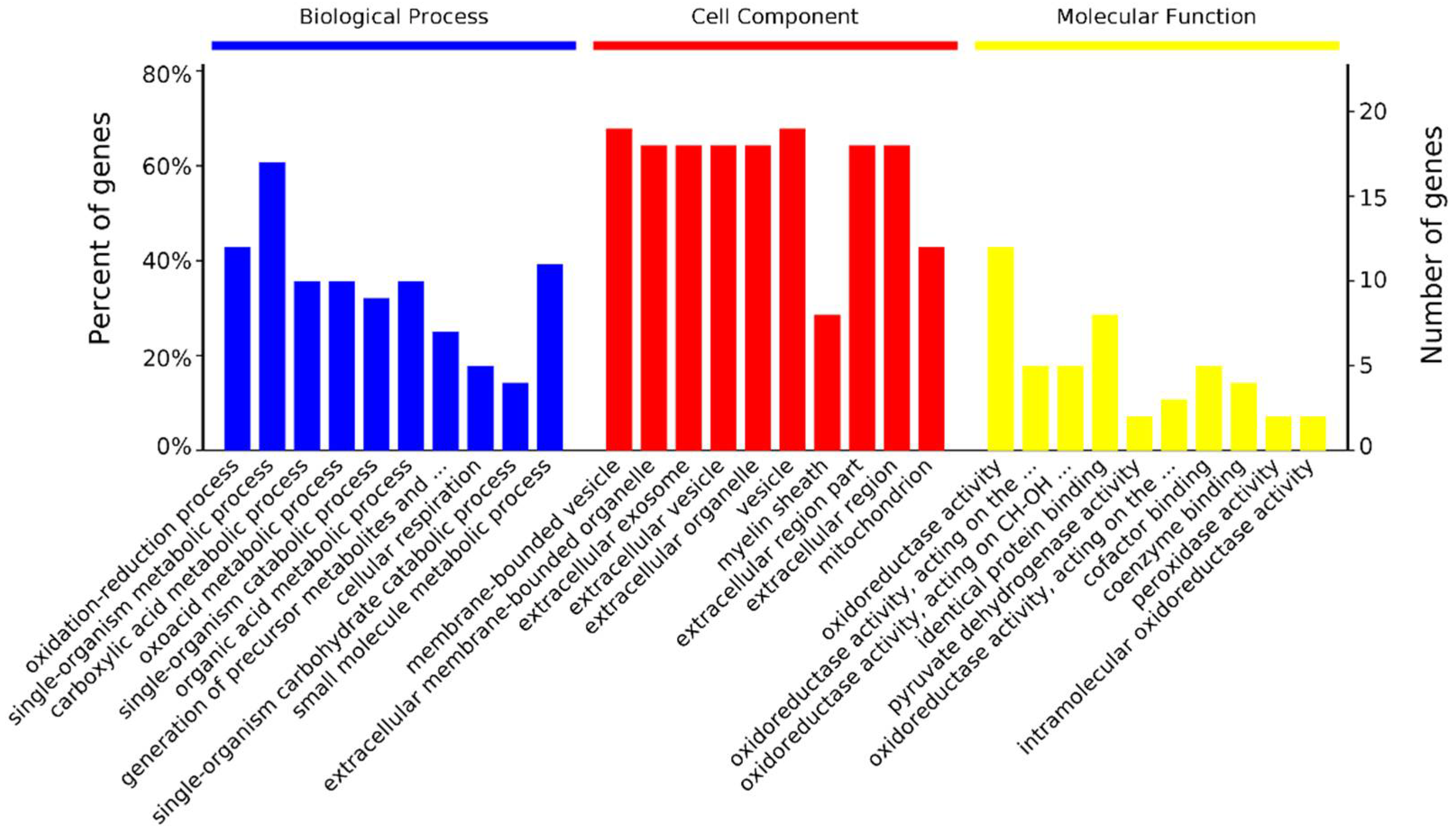 Animals 11 02180 g004