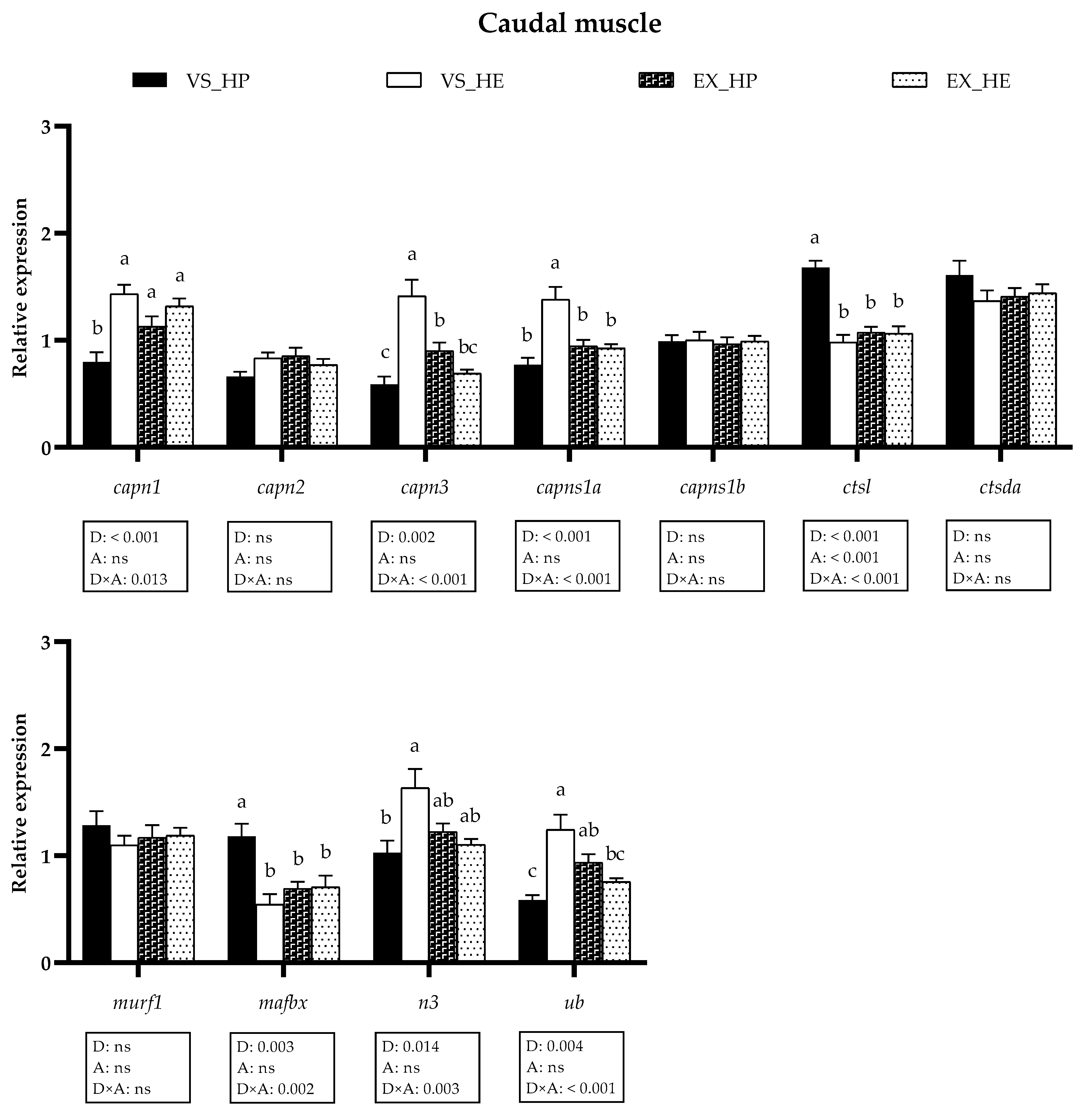 Animals 11 02182 g007