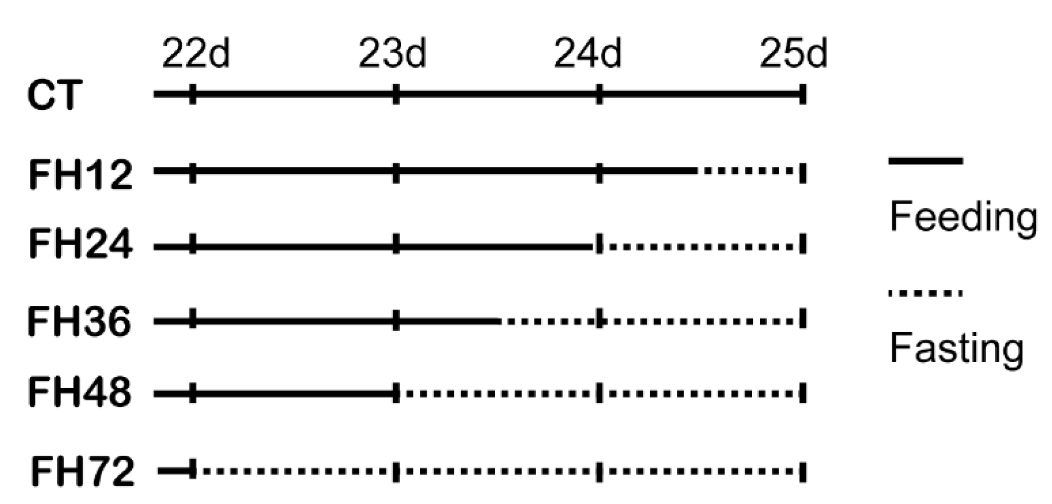 Animals 11 02183 g001