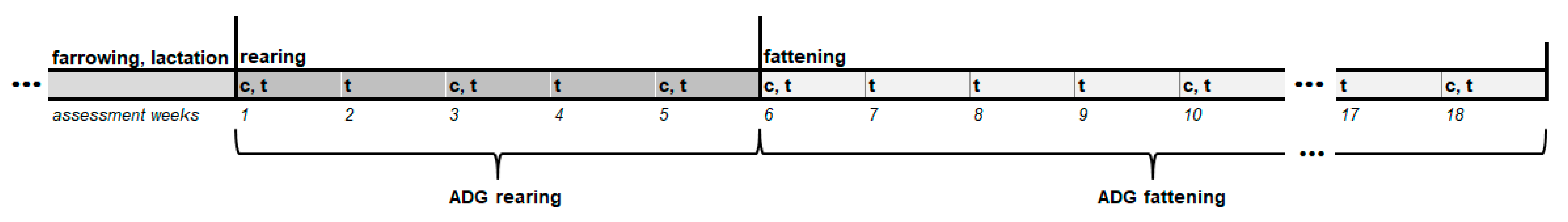 Animals 11 02184 g002 550