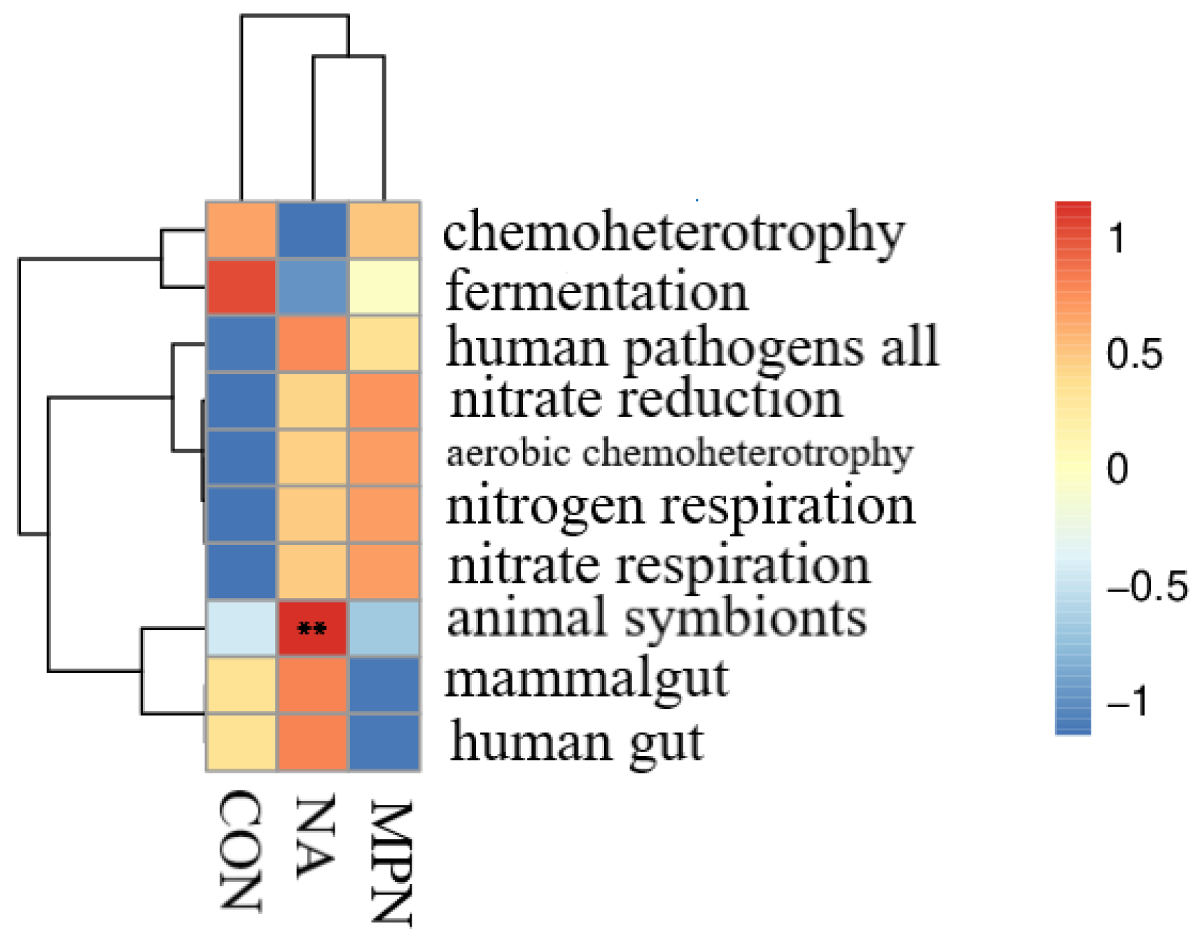 Animals 11 02186 g008