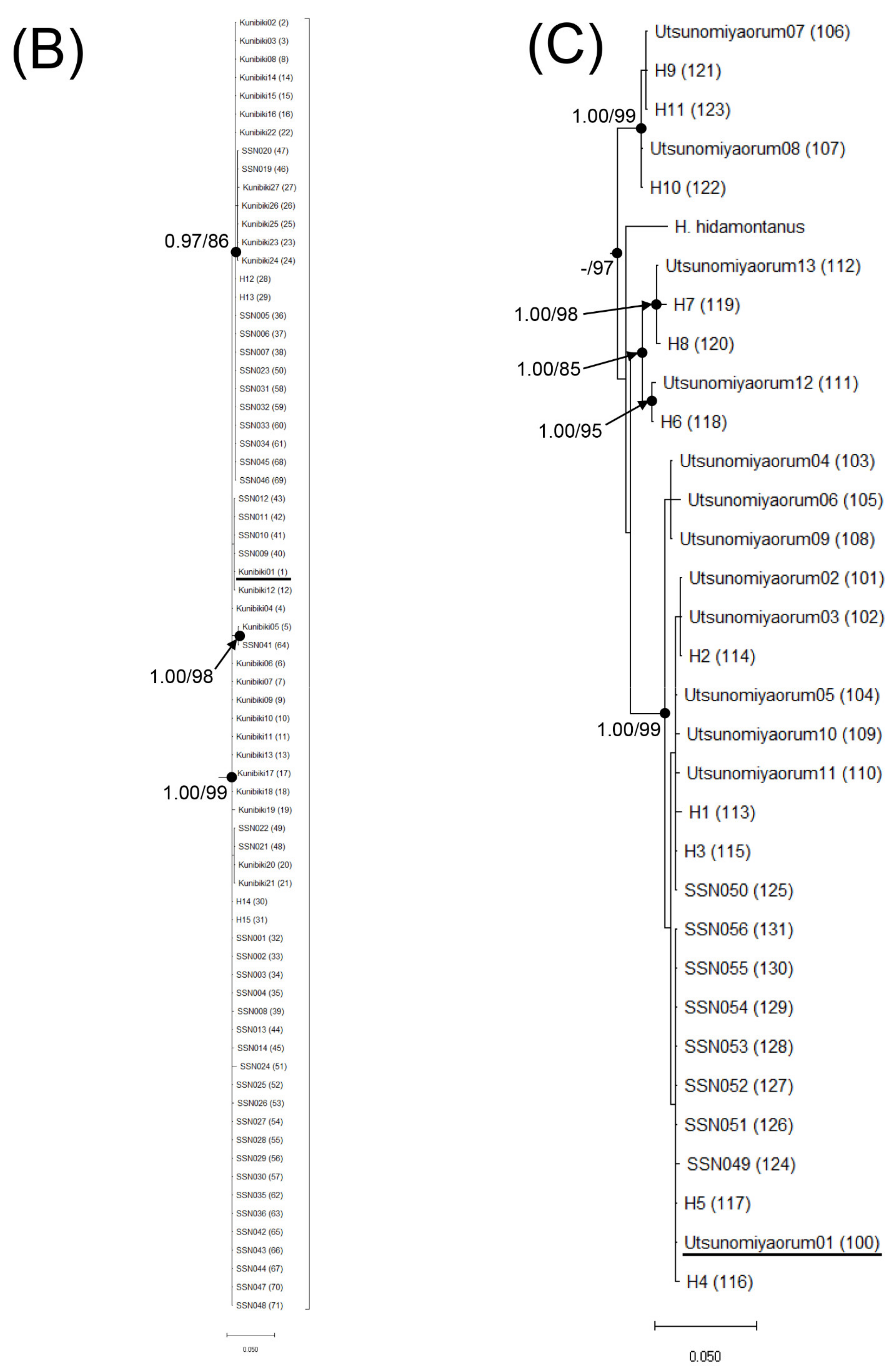 Animals 11 02187 g002b