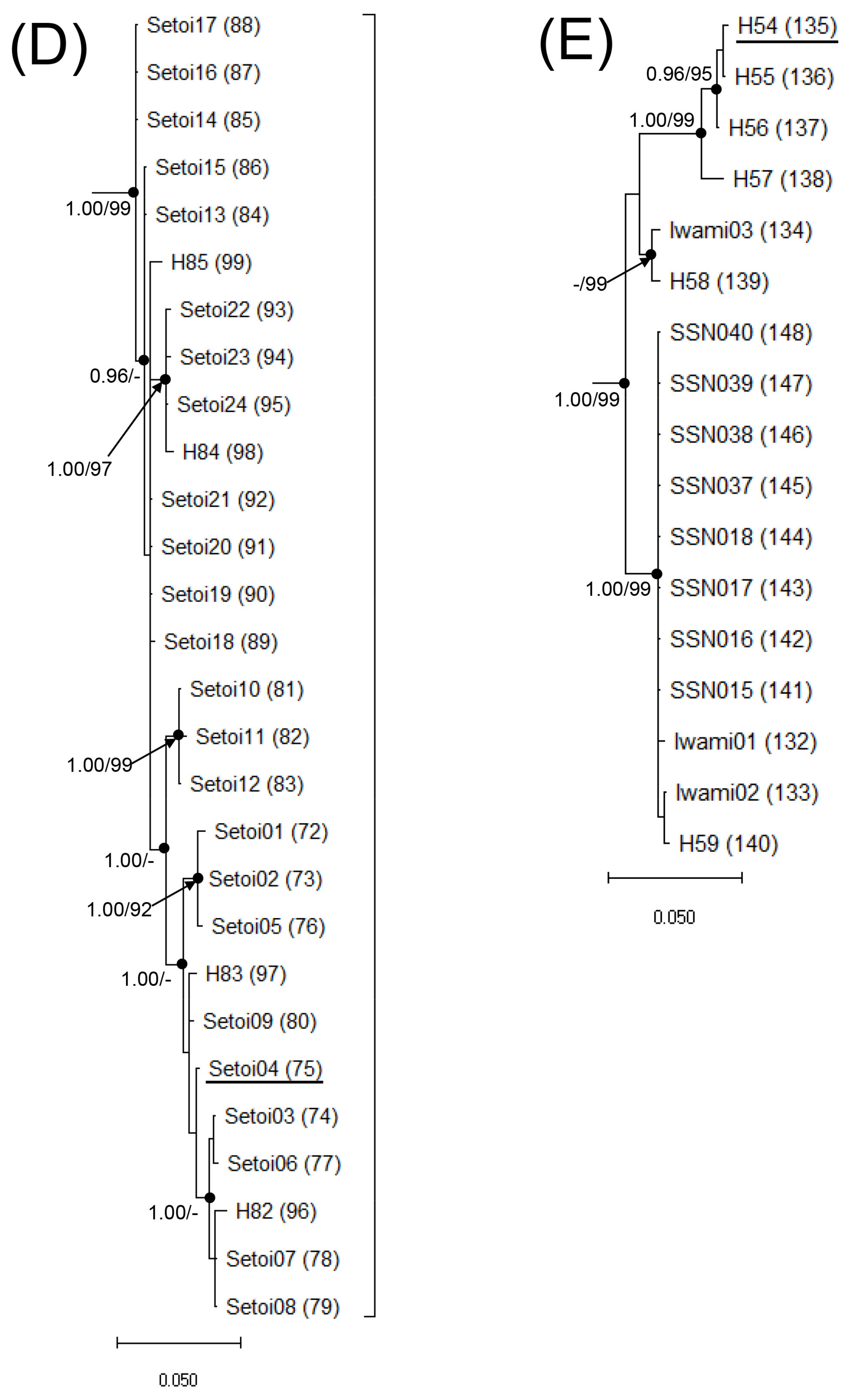 Animals 11 02187 g002c