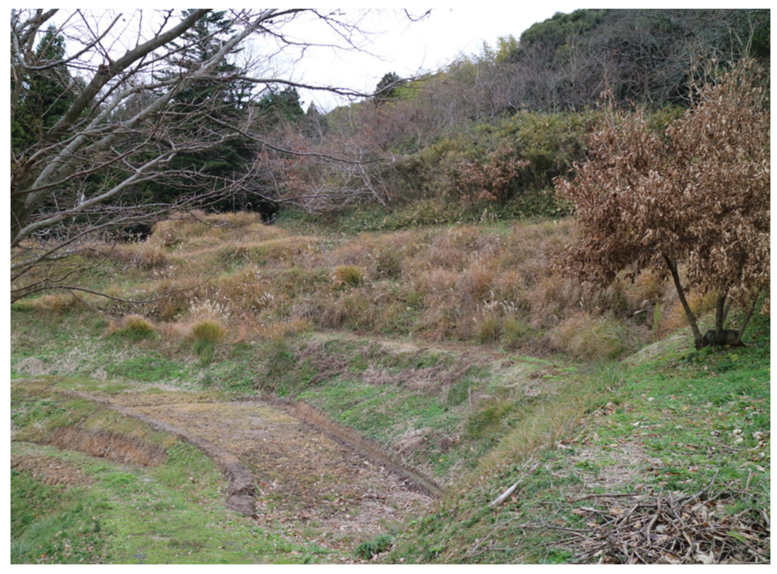 Animals 11 02187 g007