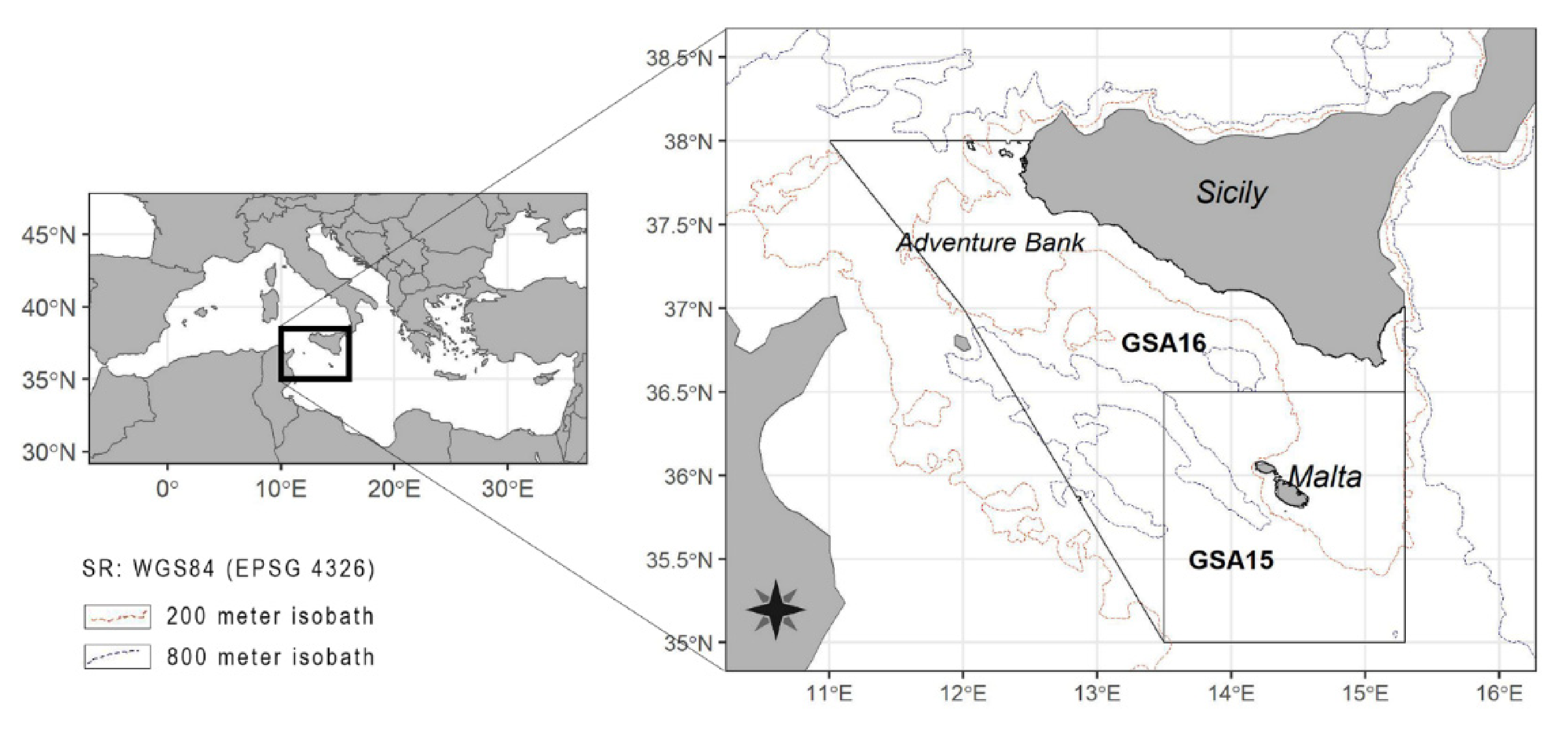 Animals Free Full Text Batoid Abundances Spatial Distribution And Life History Traits In The Strait Of Sicily Central Mediterranean Sea Bridging A Knowledge Gap Through Three Decades Of Survey Html Animals Free Full Text Batoid Abundances Spatial Distribution And Life History Traits In The Strait Of Sicily Central Mediterranean Sea Bridging A Knowledge Gap Through Three Decades Of Survey Html