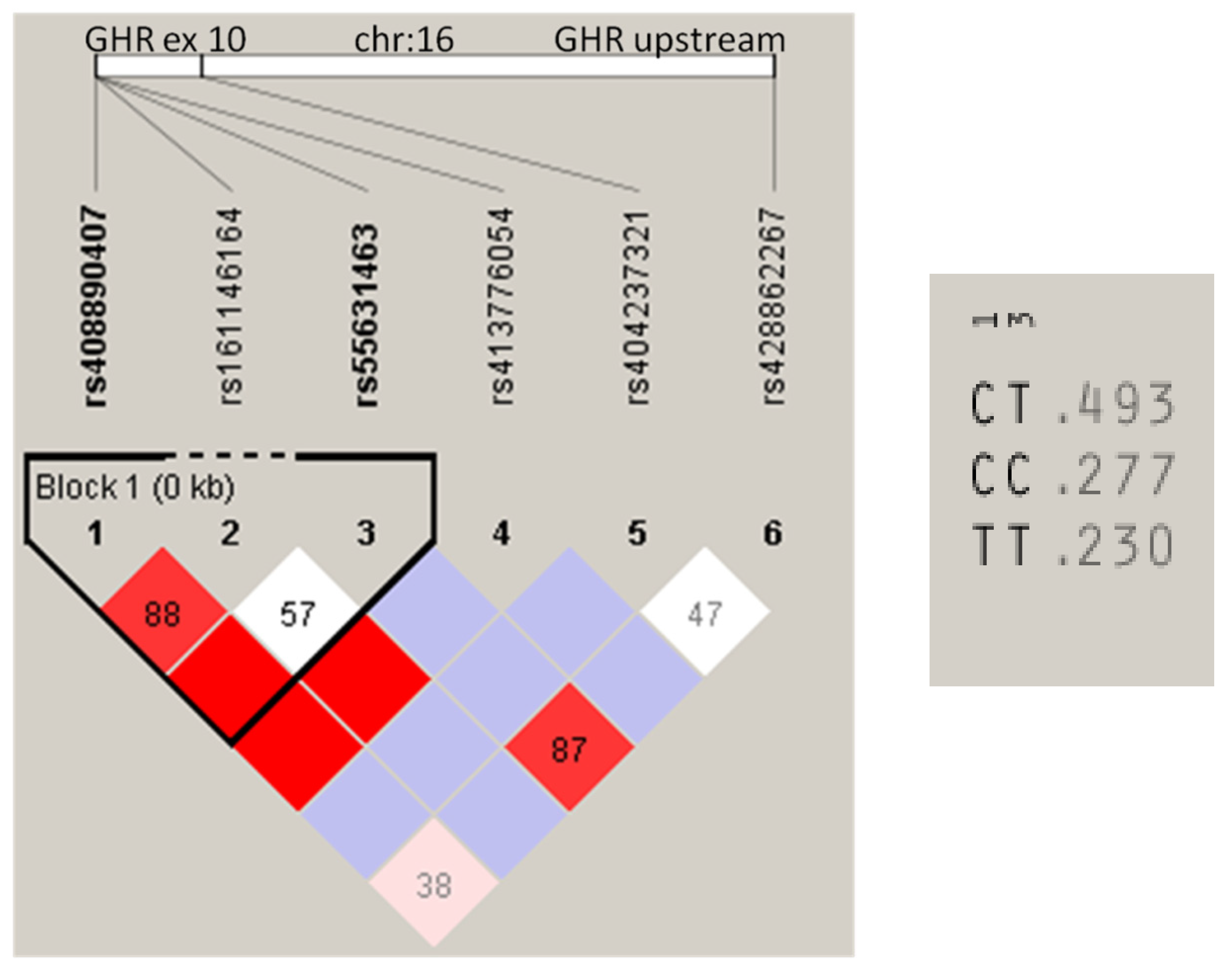 Animals 11 02207 g001