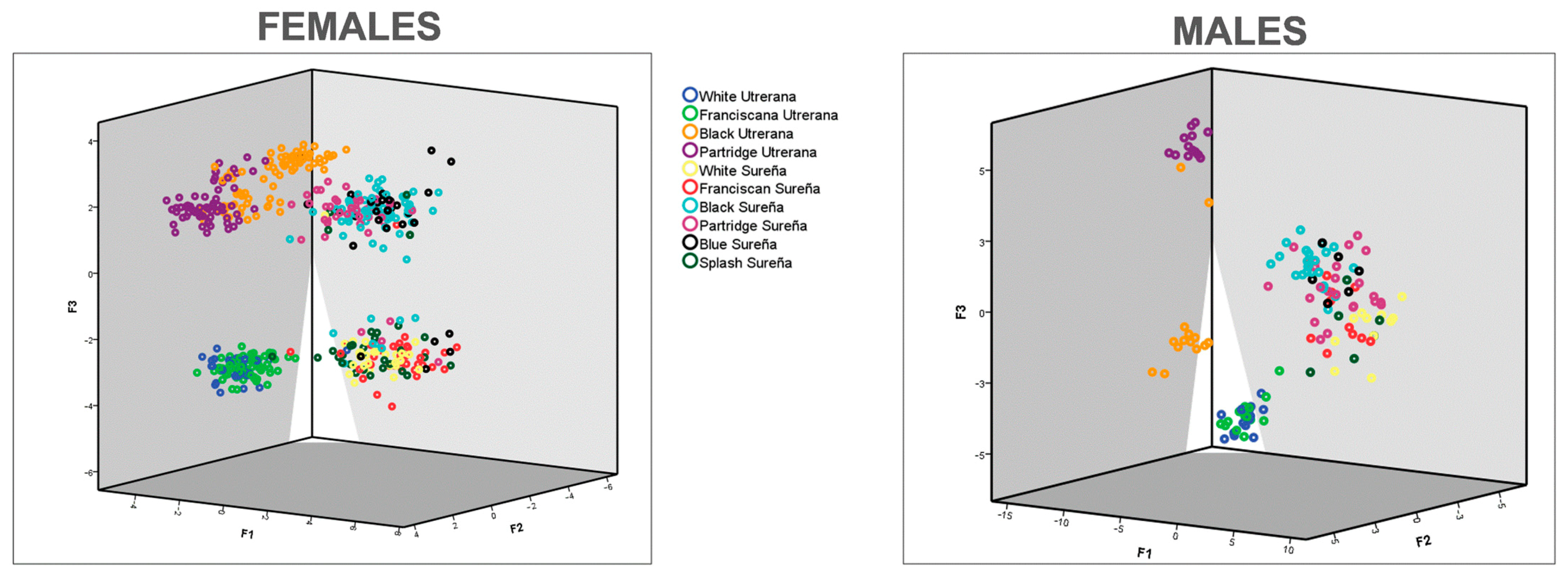 Animals 11 02211 g004