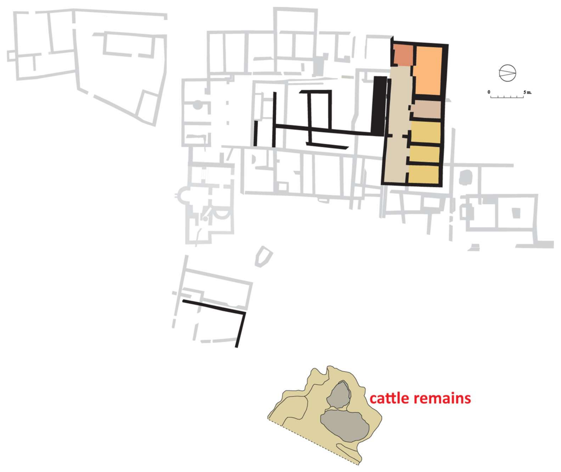 Animals 11 02214 g002 550