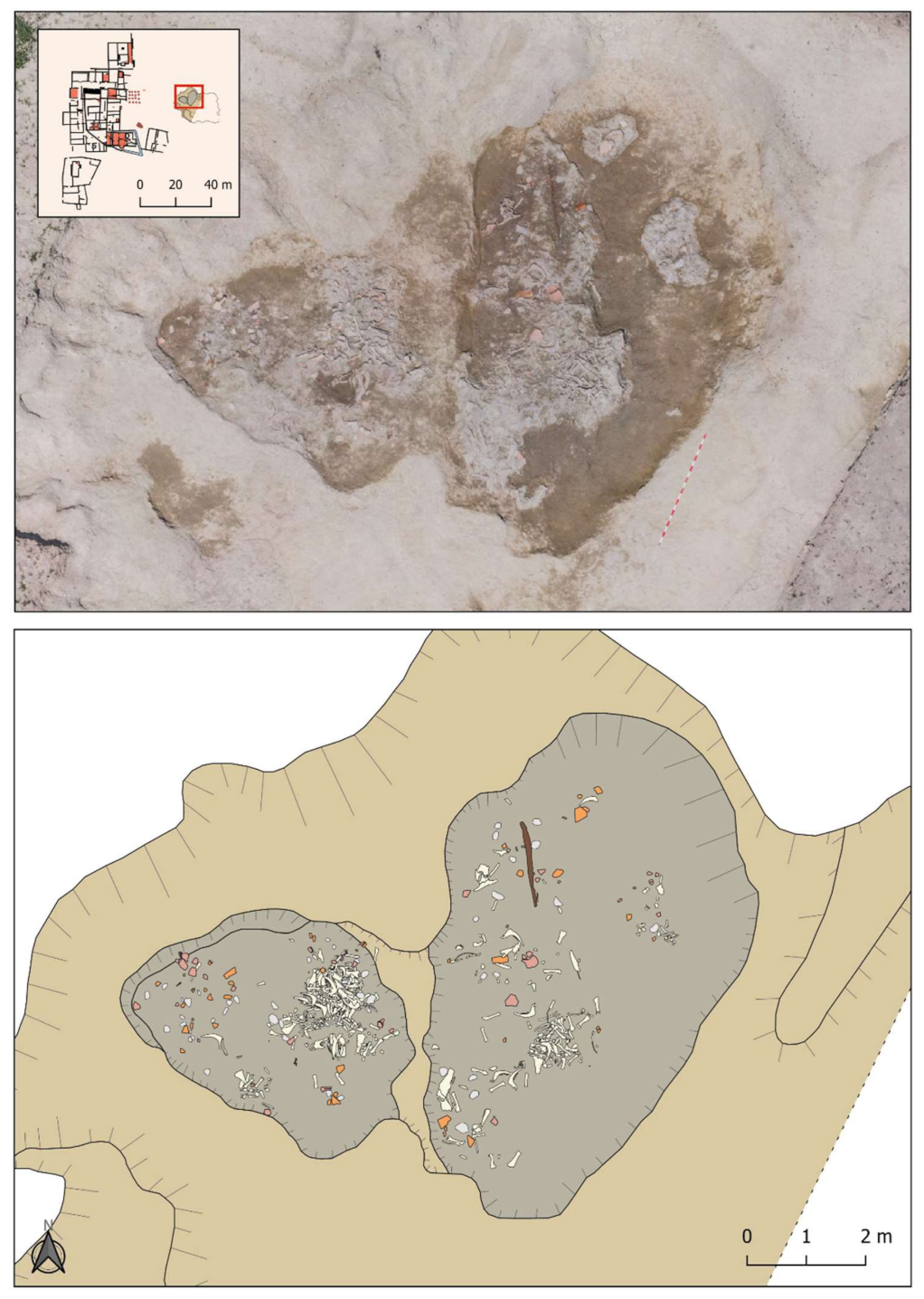 Animals 11 02214 g005 550