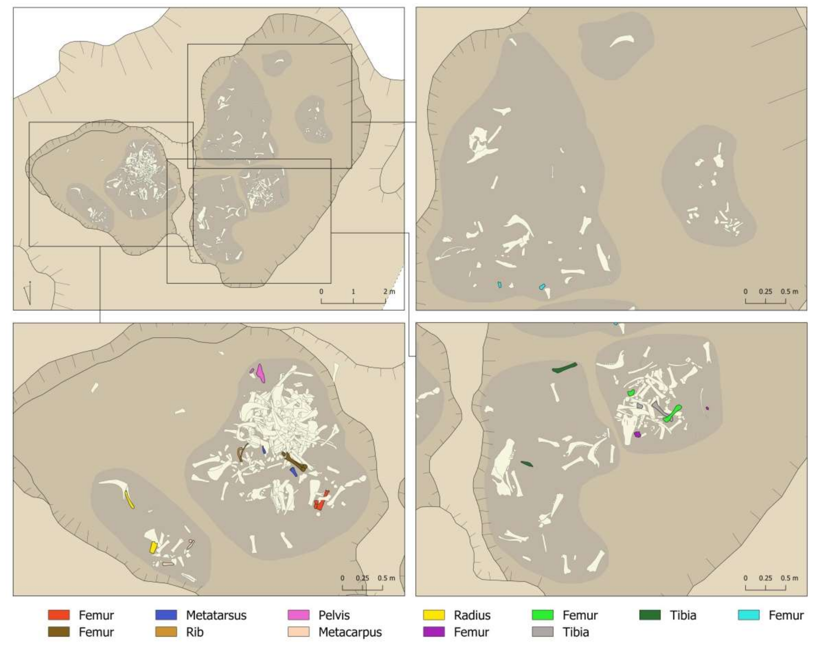 Animals 11 02214 g007 550