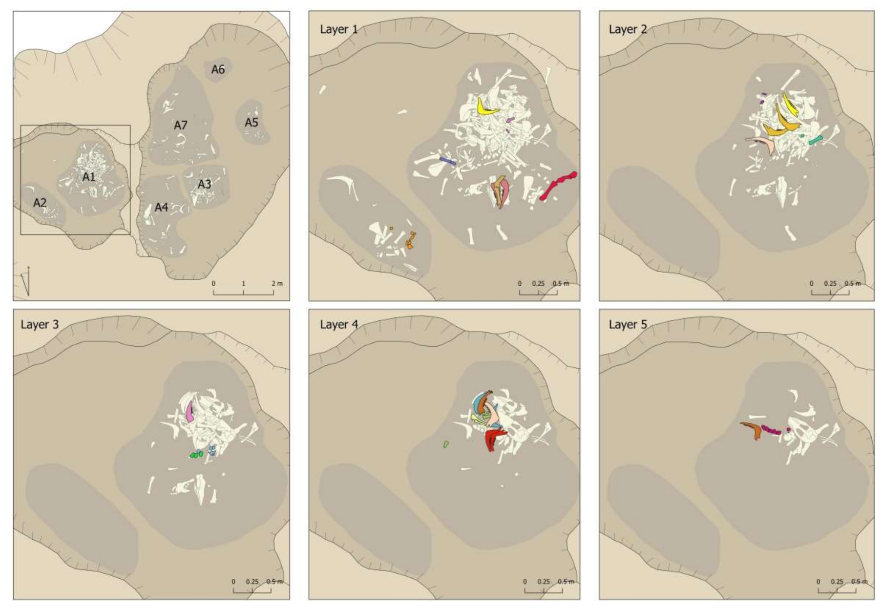 Animals 11 02214 g013 550