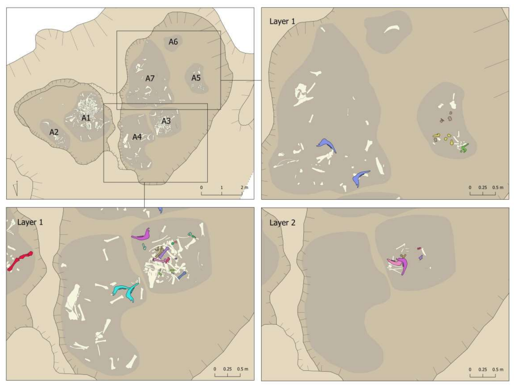 Animals 11 02214 g014 550