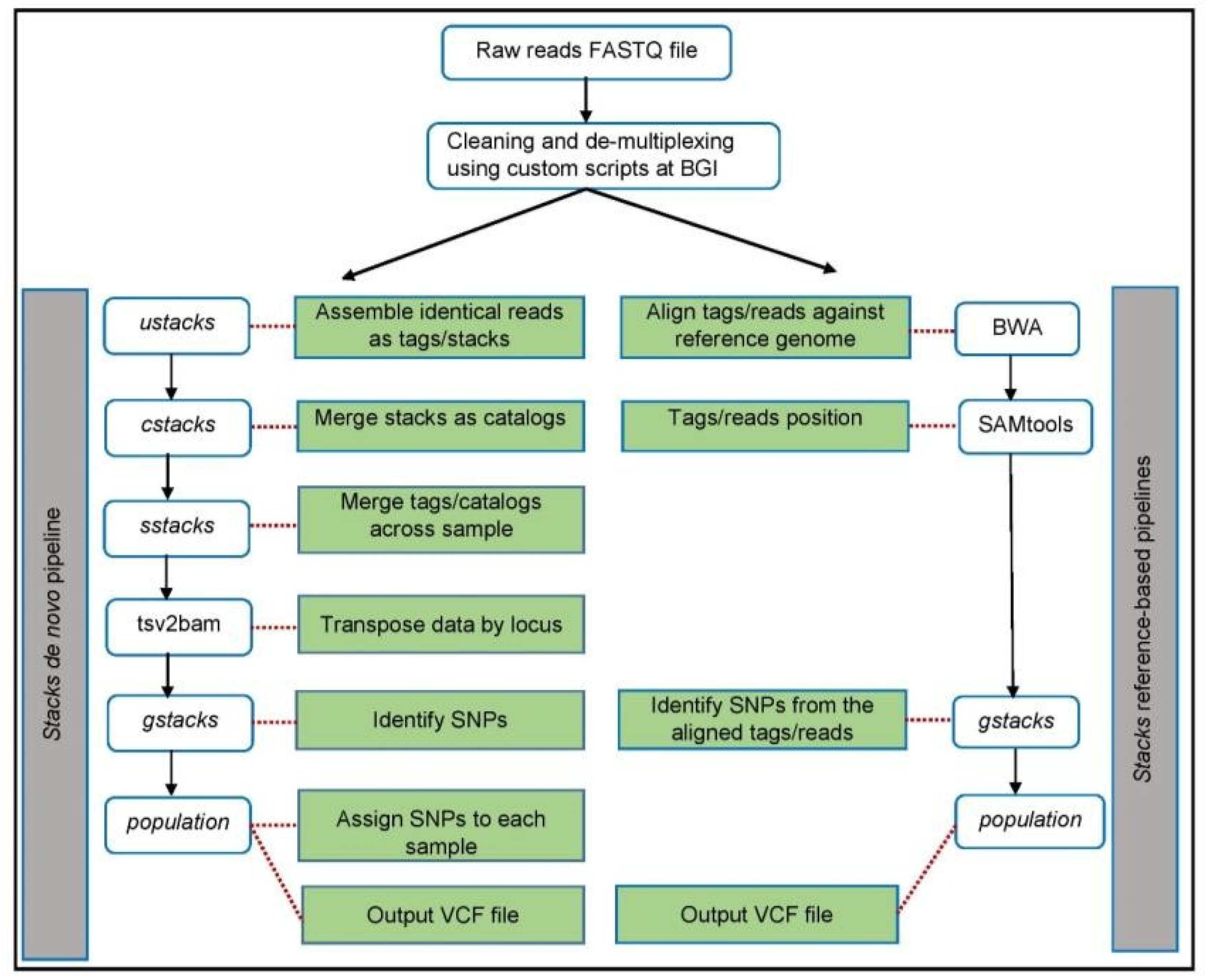 Animals 11 02226 g001 550