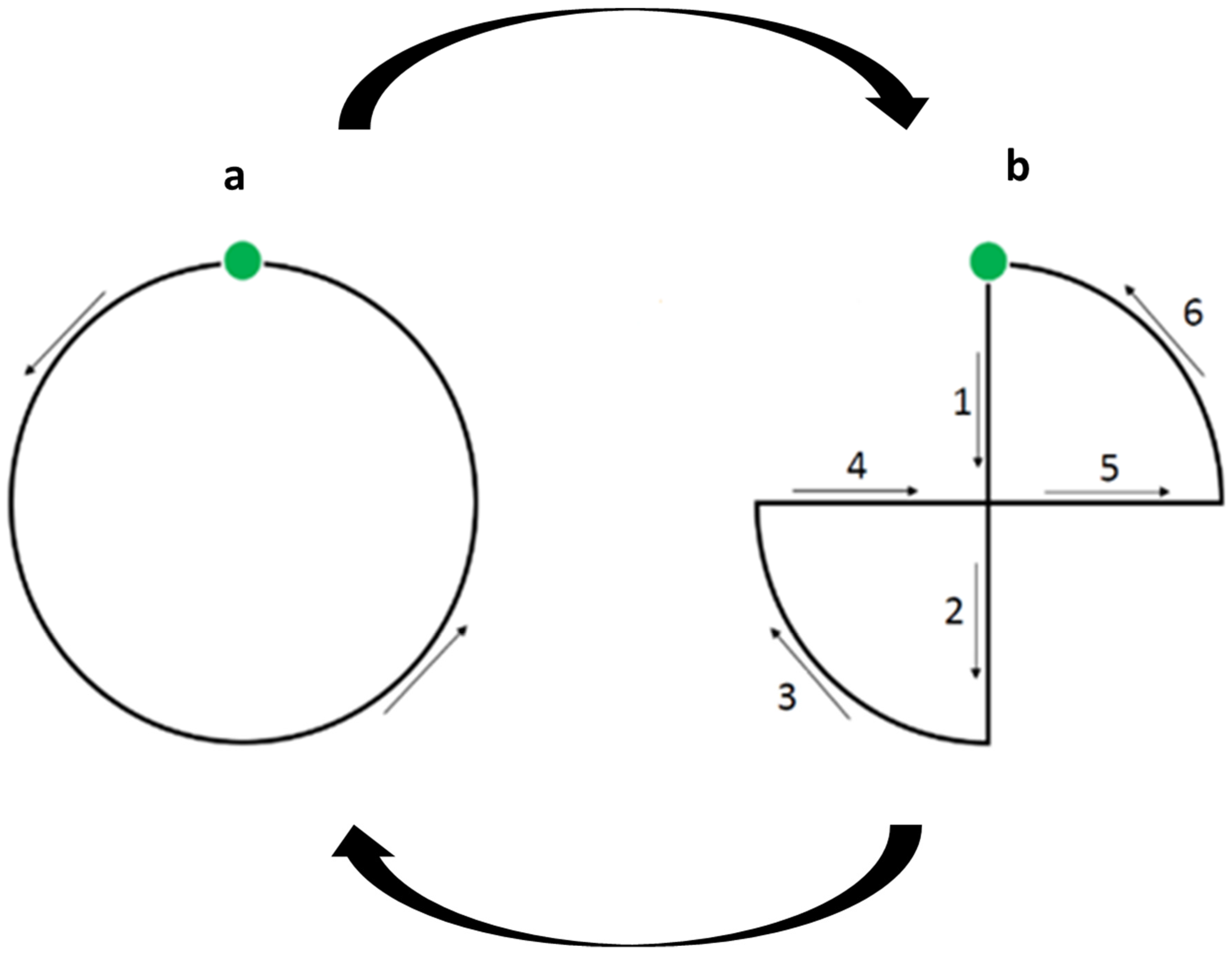 Animals 11 02233 g001 Animals 11 02233 g001