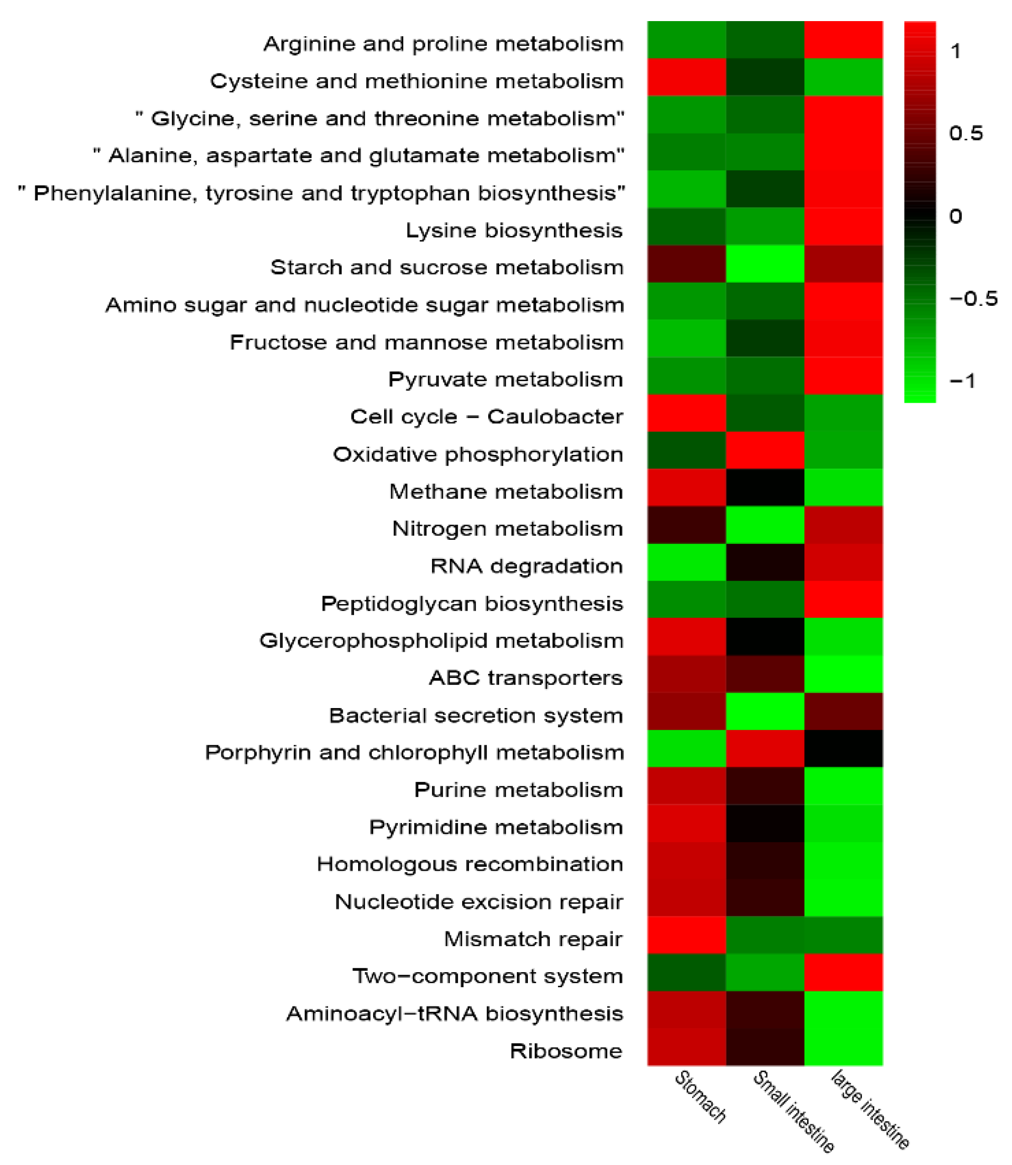 Animals 11 02243 g004