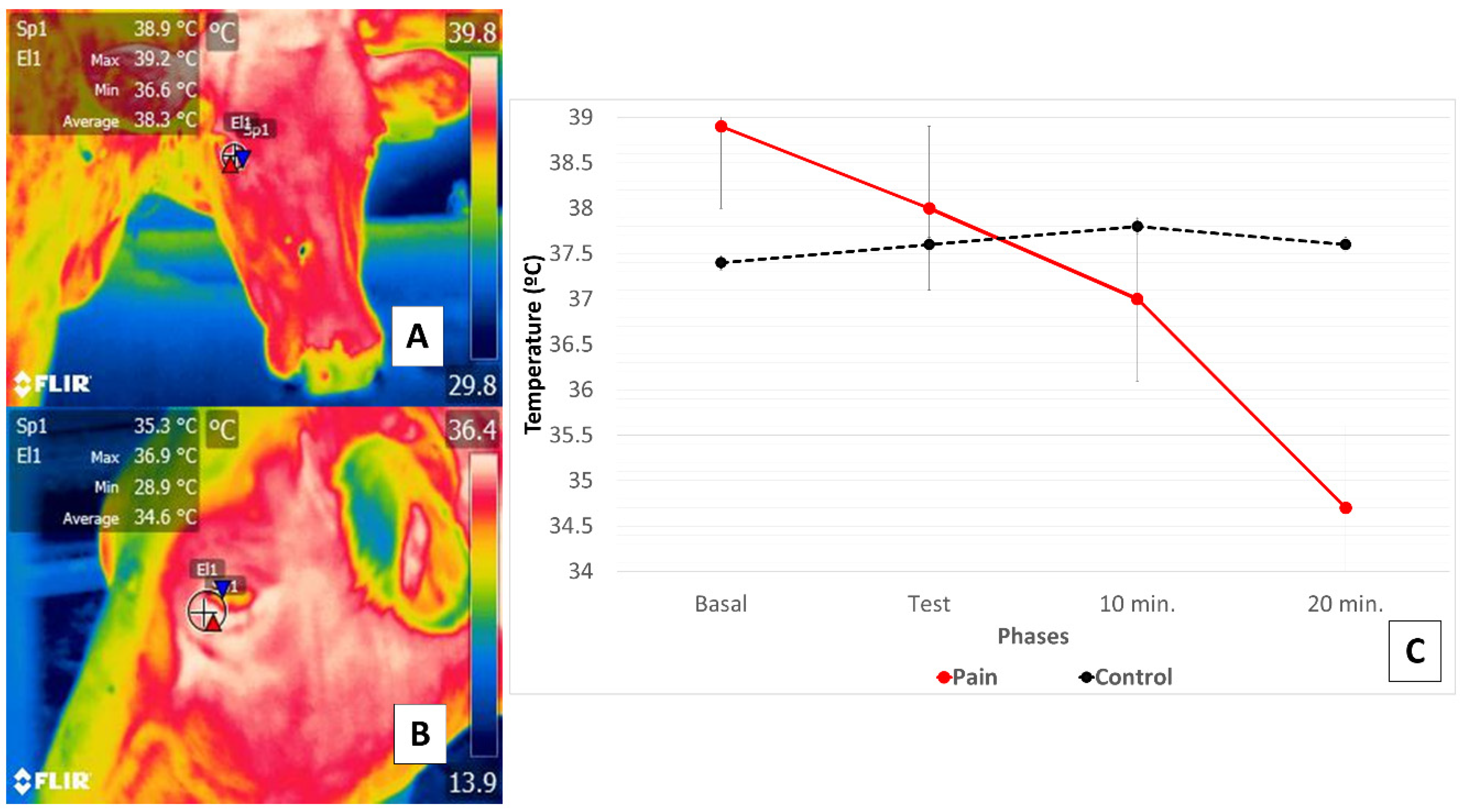 Animals 11 02247 g004 550