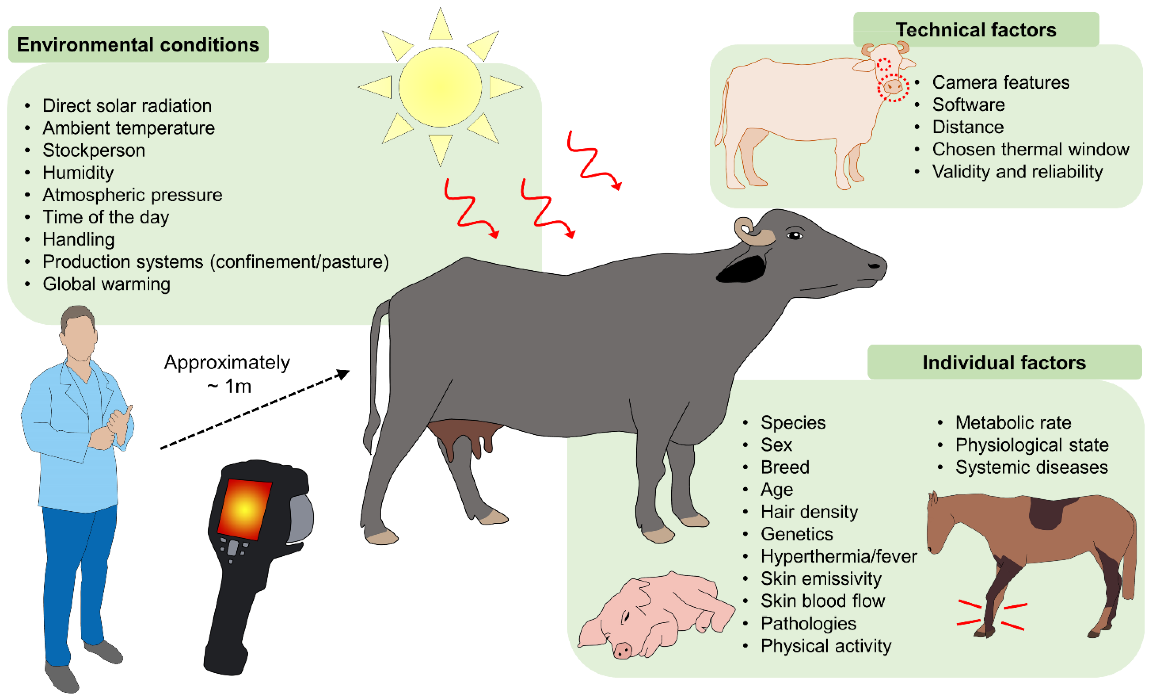 Animals | Free Full-Text | Clinical Applications and Factors Involved in  Validating Thermal Windows Used in Infrared Thermography in Cattle and  River Buffalo to Assess Health and Productivity