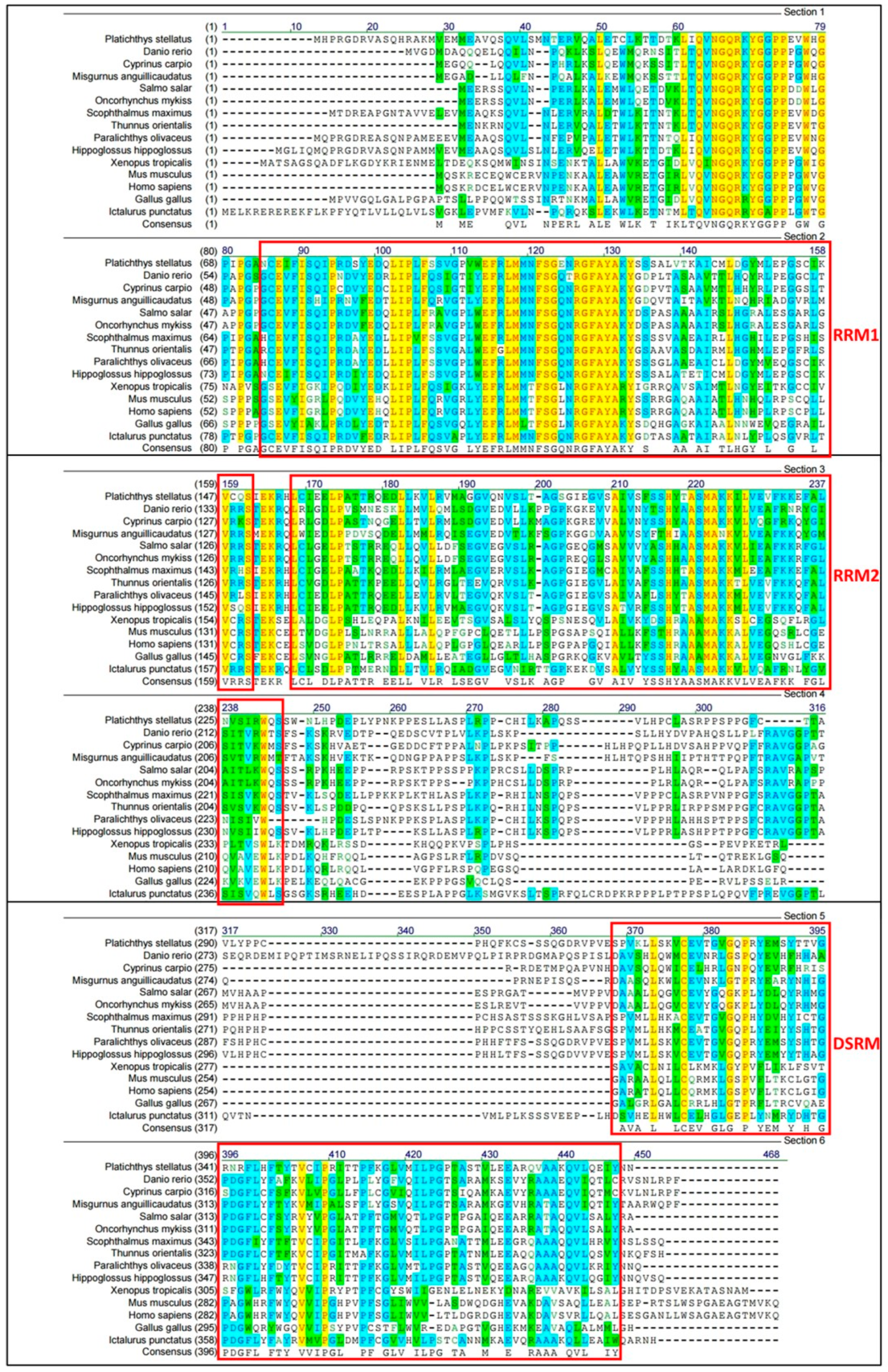 Animals 11 02256 g003