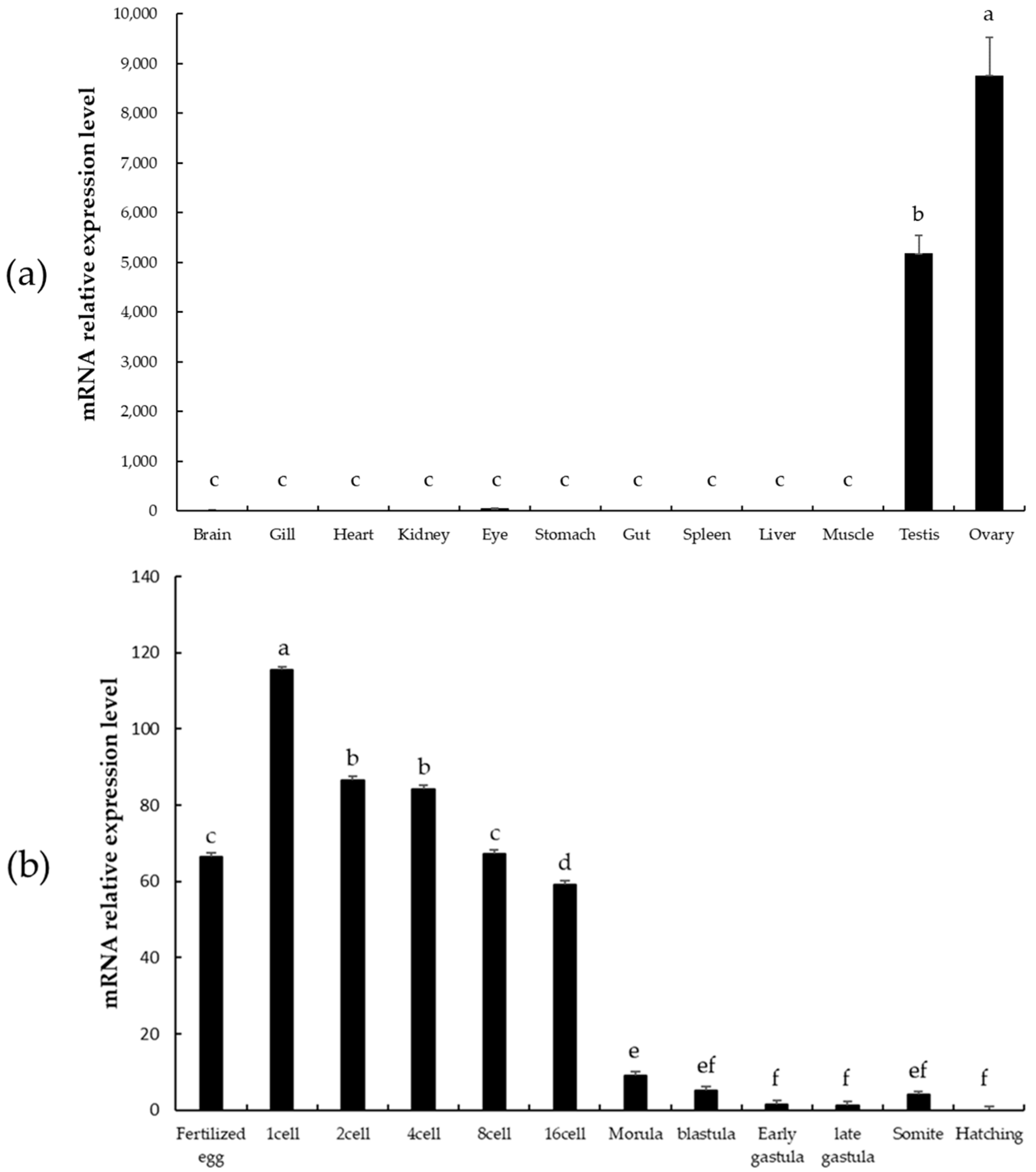 Animals 11 02256 g005