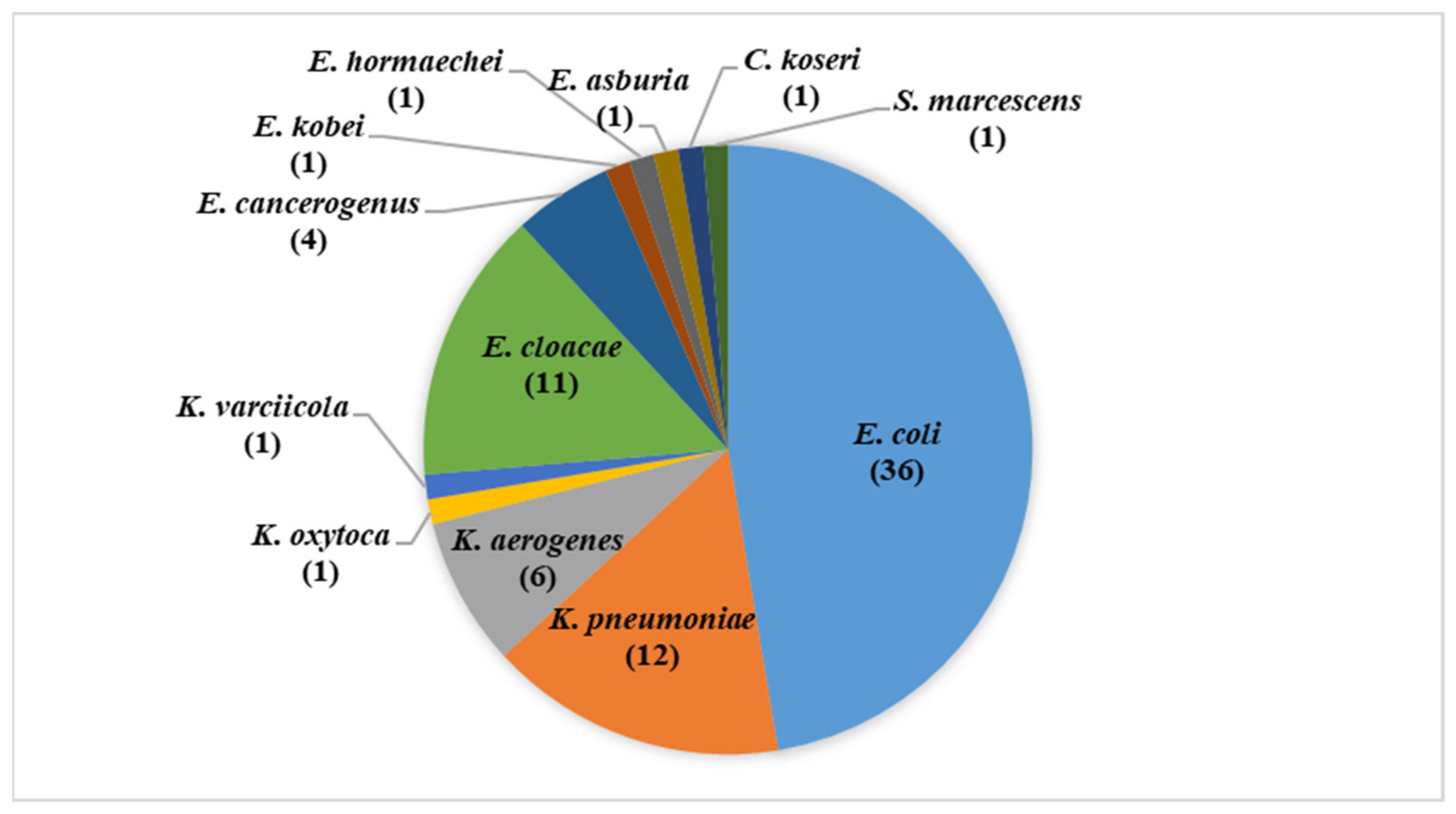 Animals 11 02258 g001