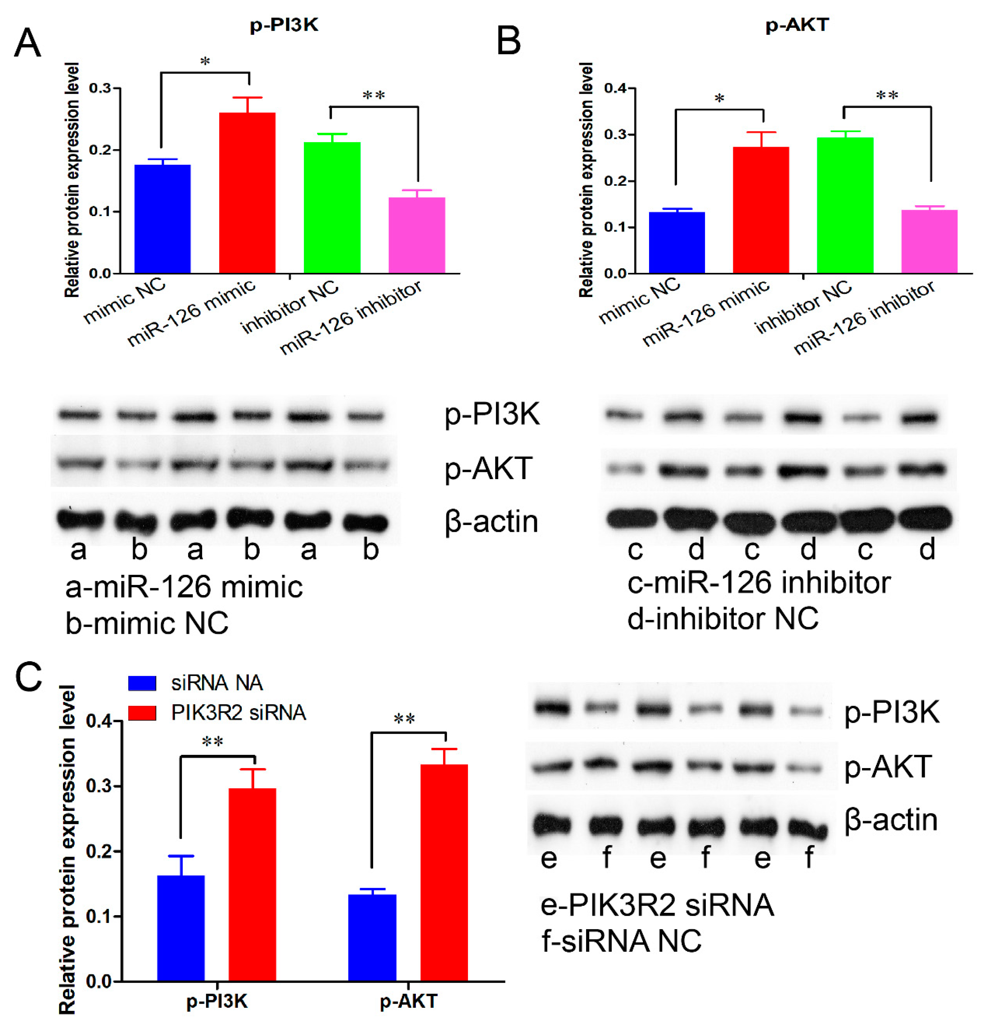 Animals 11 02260 g007