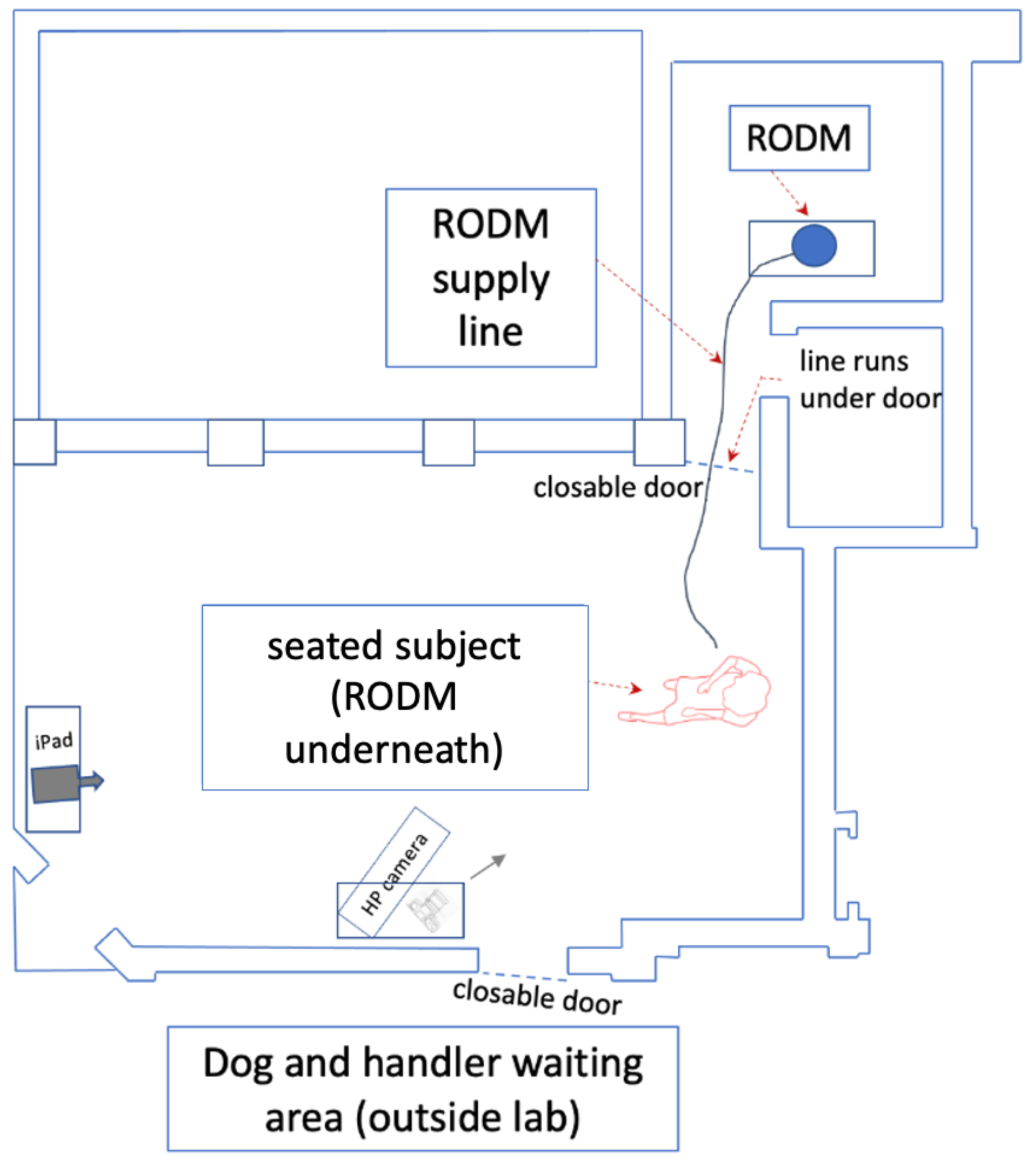 https://www.mdpi.com/animals/animals-11-02267/article_deploy/html/images/animals-11-02267-g001.png