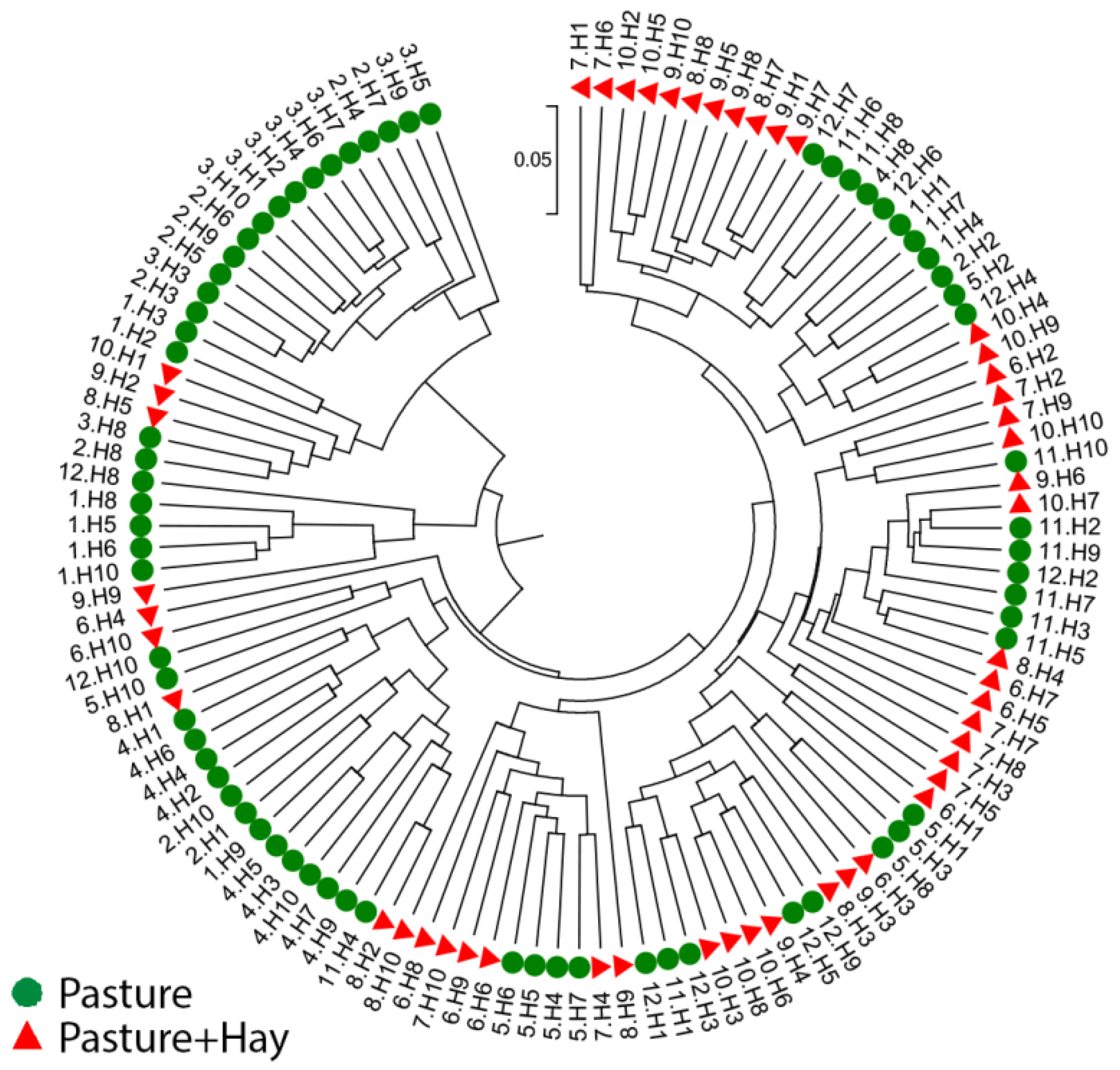 Animals 11 02300 g003