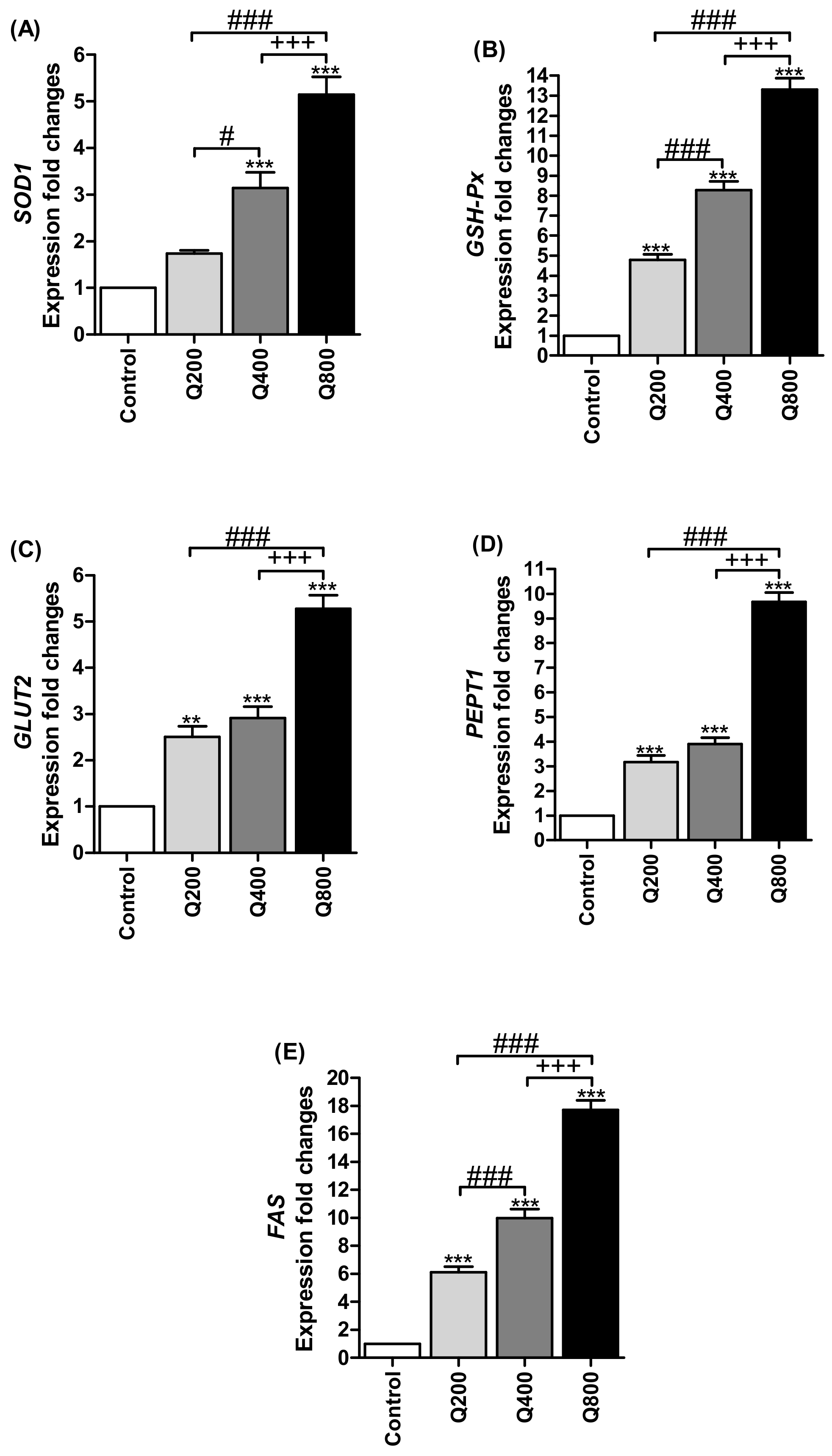 Animals 11 02302 g003