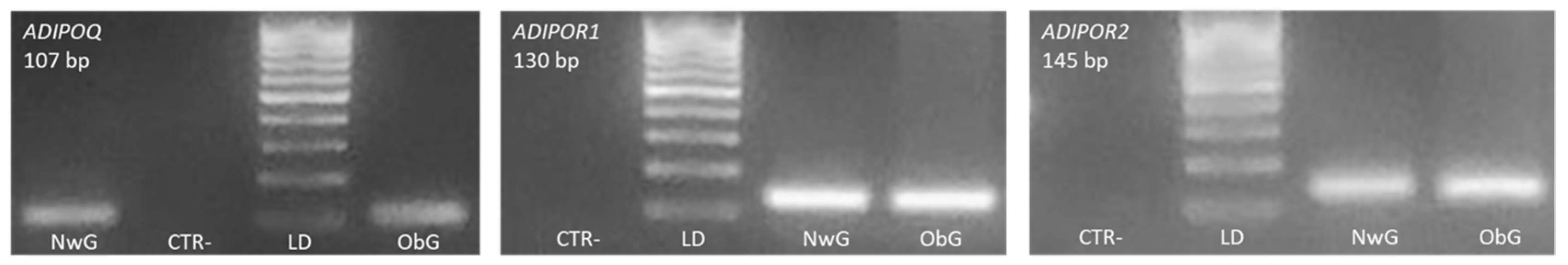 Animals 11 02308 g001 Animals 11 02308 g001