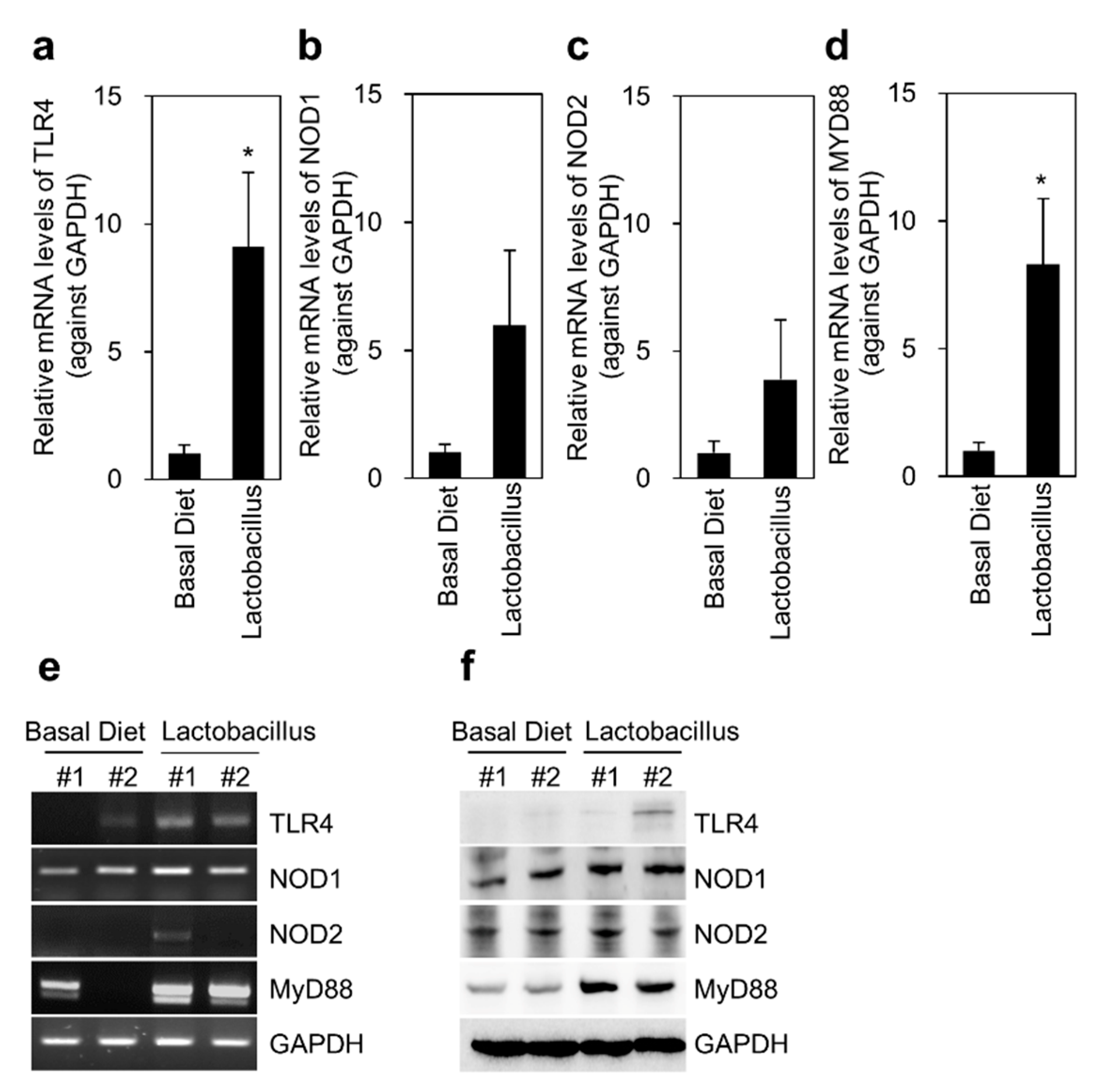Animals 11 02309 g003