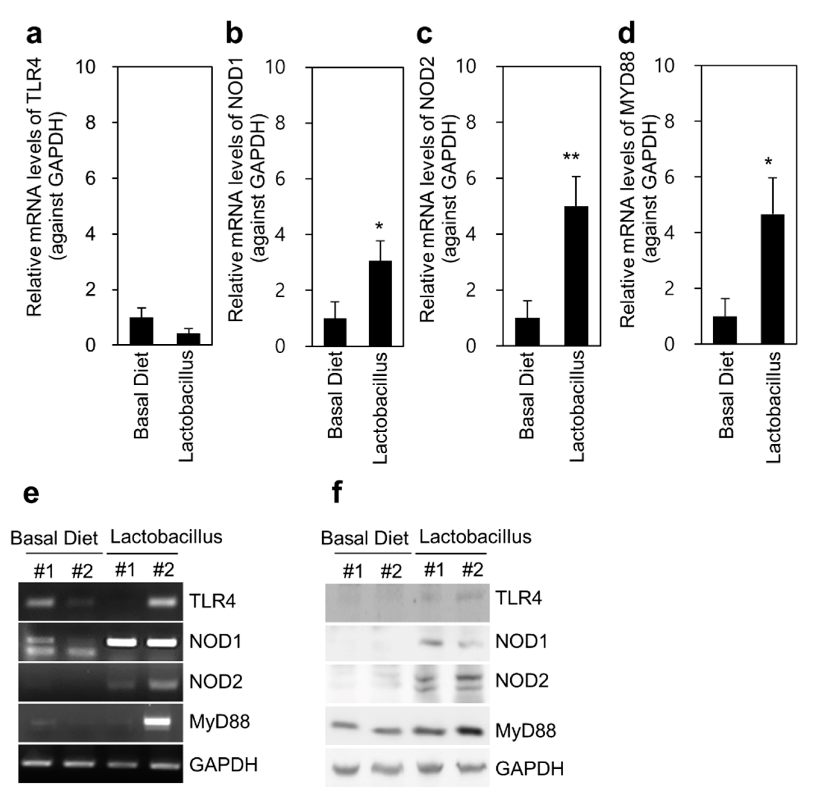 Animals 11 02309 g005