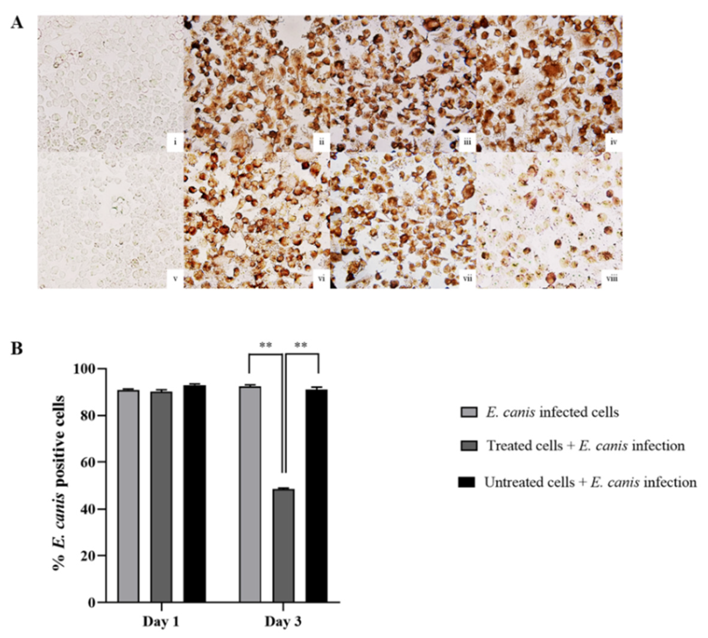 Animals 11 02310 g002 Animals 11 02310 g002