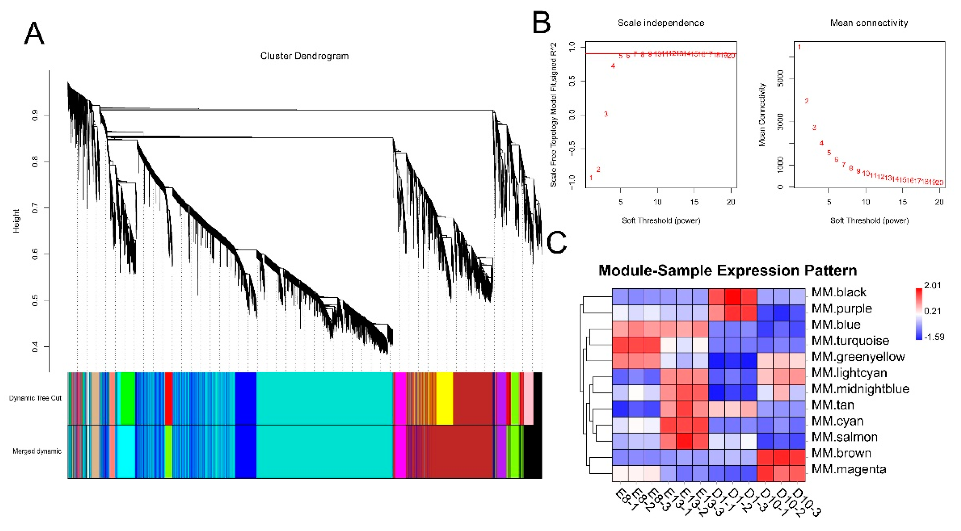 Animals 11 02311 g002