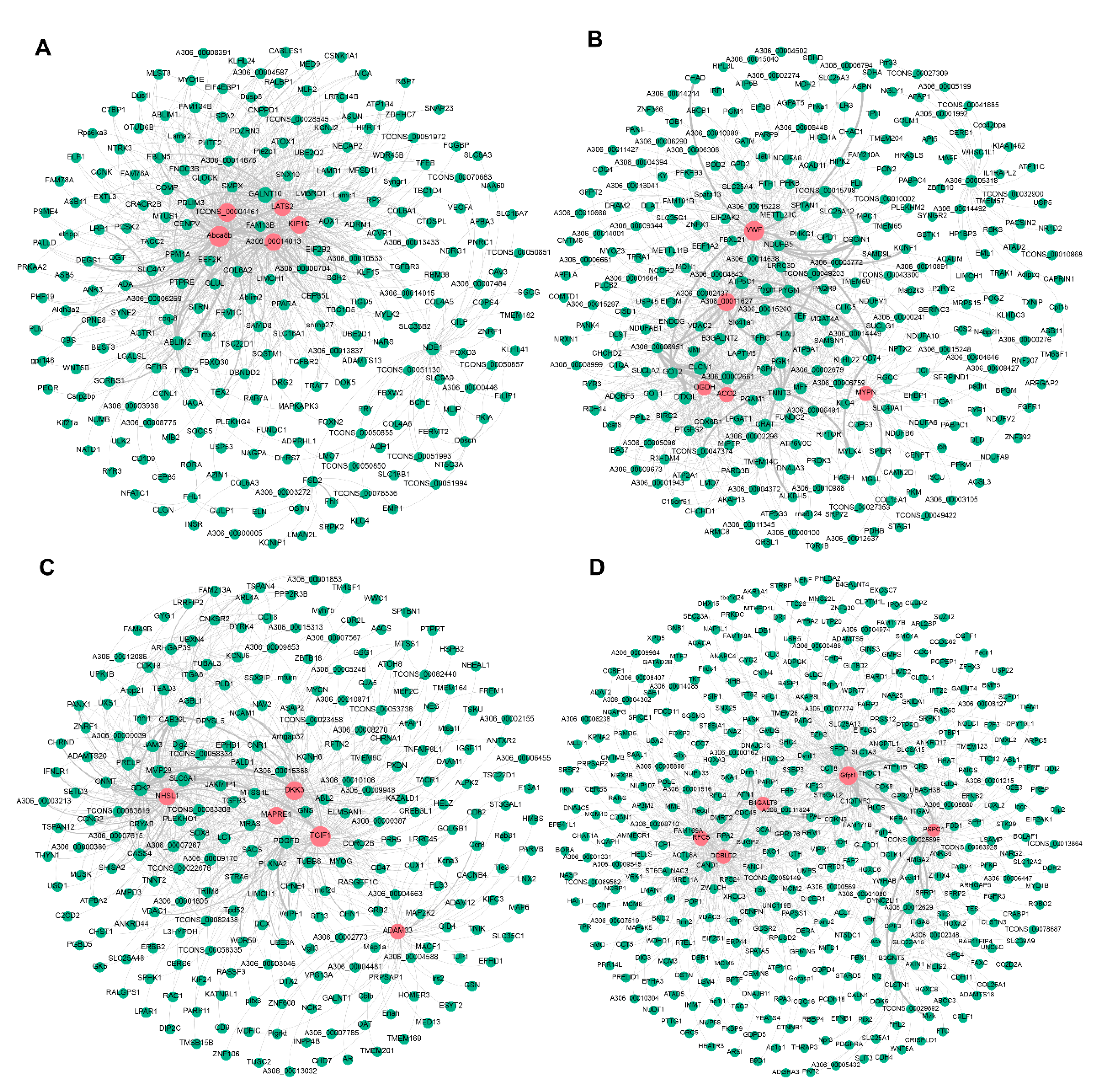 Animals 11 02311 g003